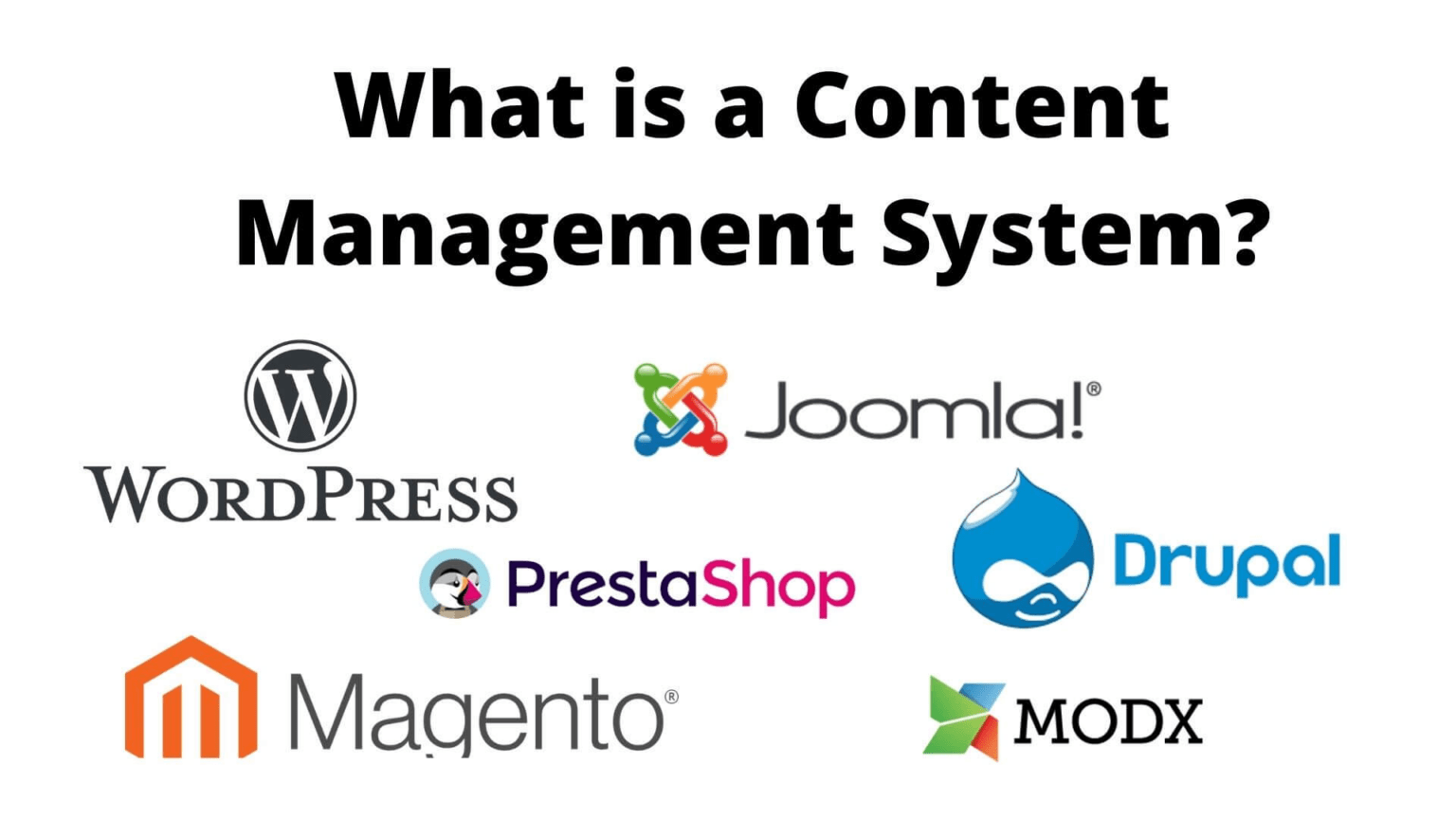 What is a Content Management System? ScalaHosting Blog
