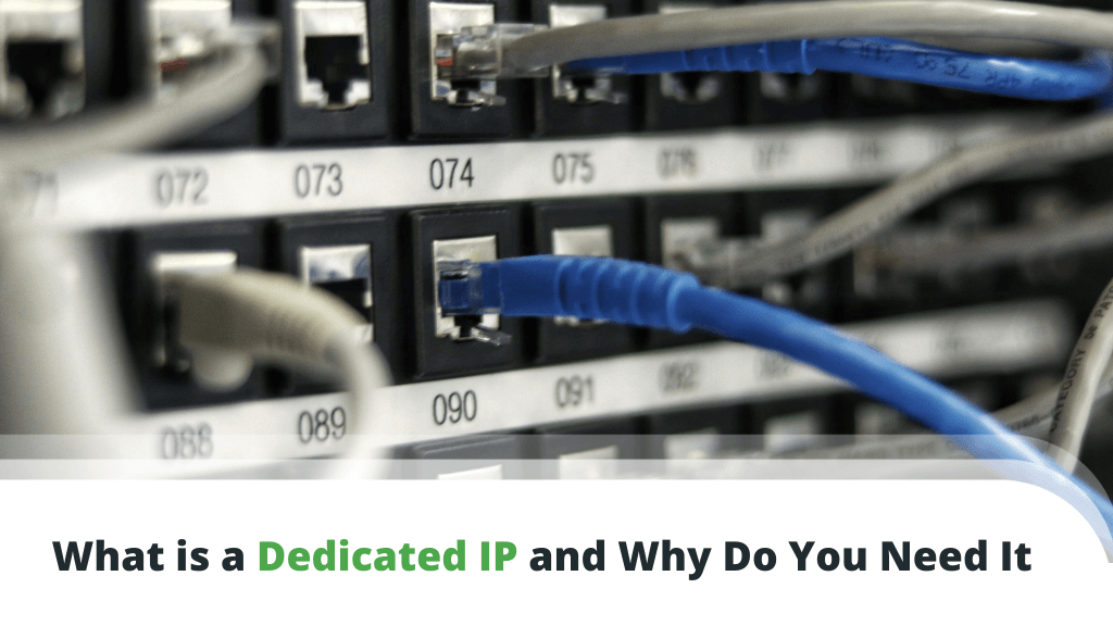 What is a Dedicated IP and Why Do You Need It ScalaHosting Blog
