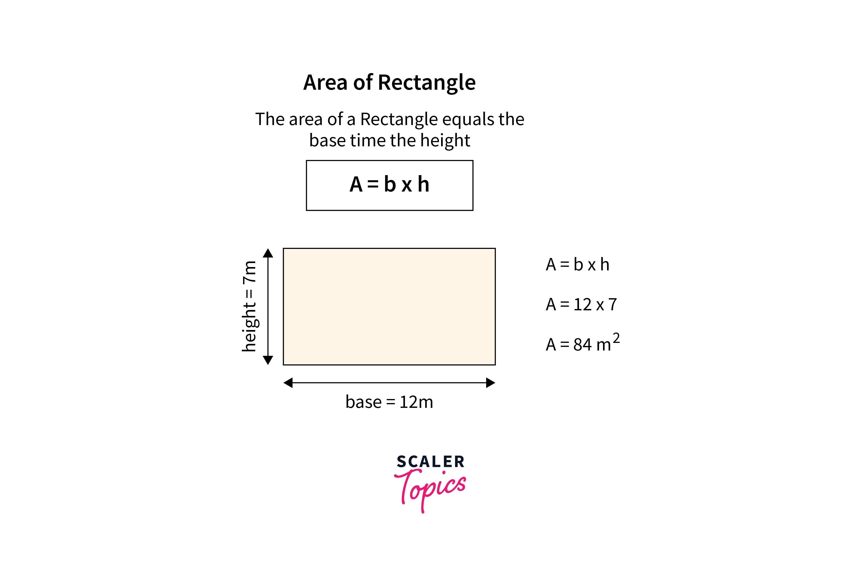 How To Calculate the Area of a Rectangle in Java? Scaler Topics