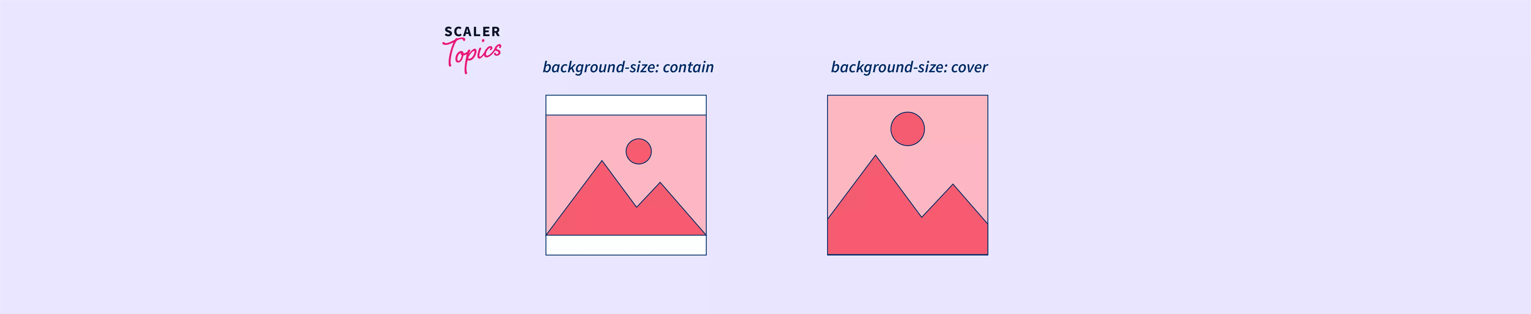 CSS BackgroundSize Property Scaler Topics