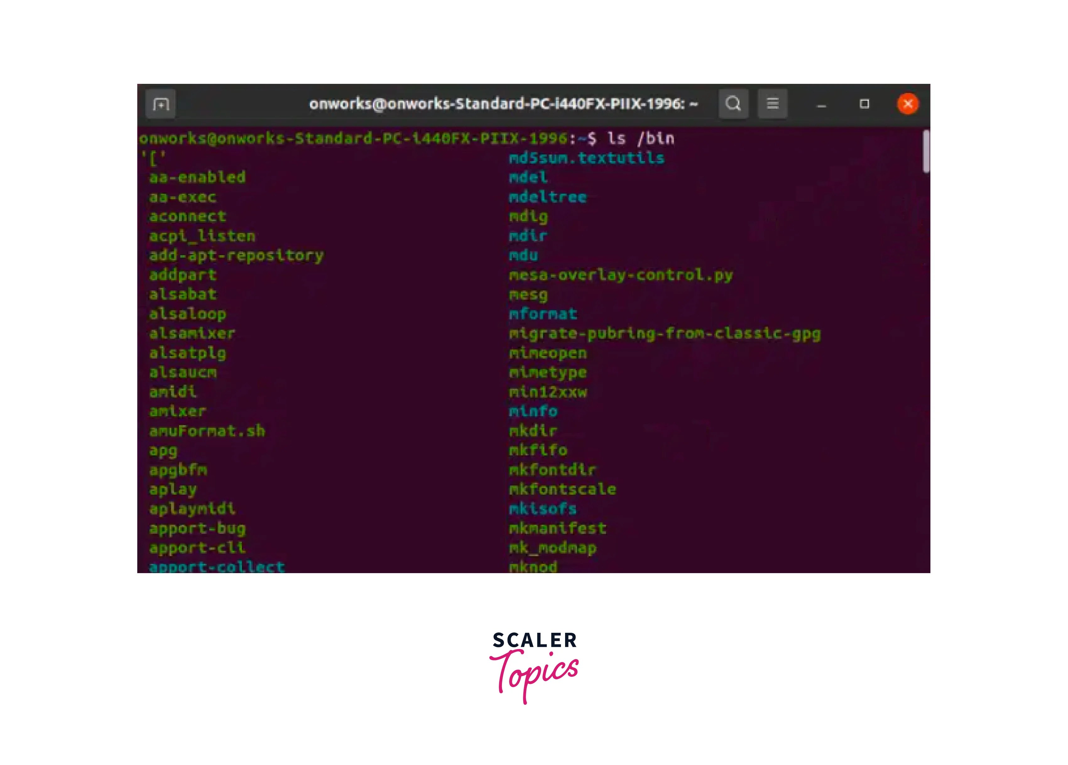 Linux Binary Directories Scaler Topics