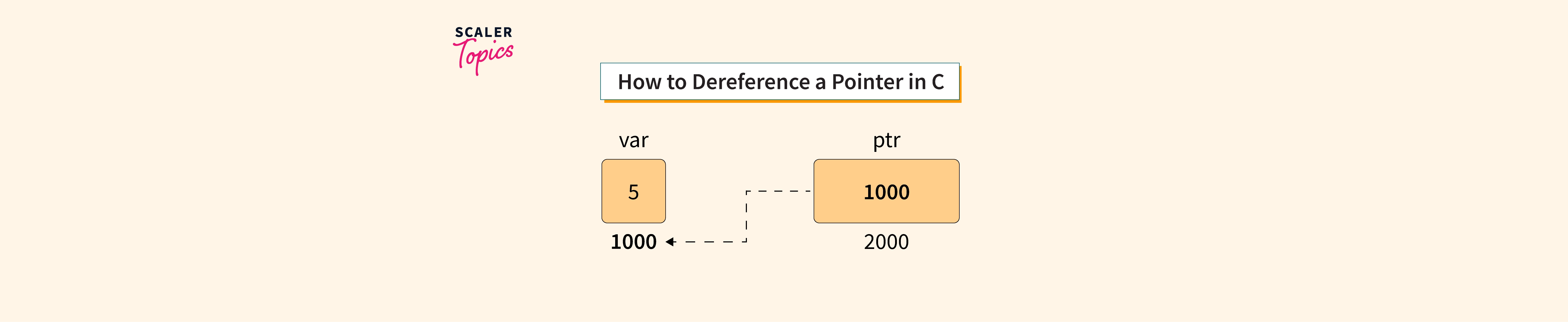 C Dereference pointer Scaler Topics