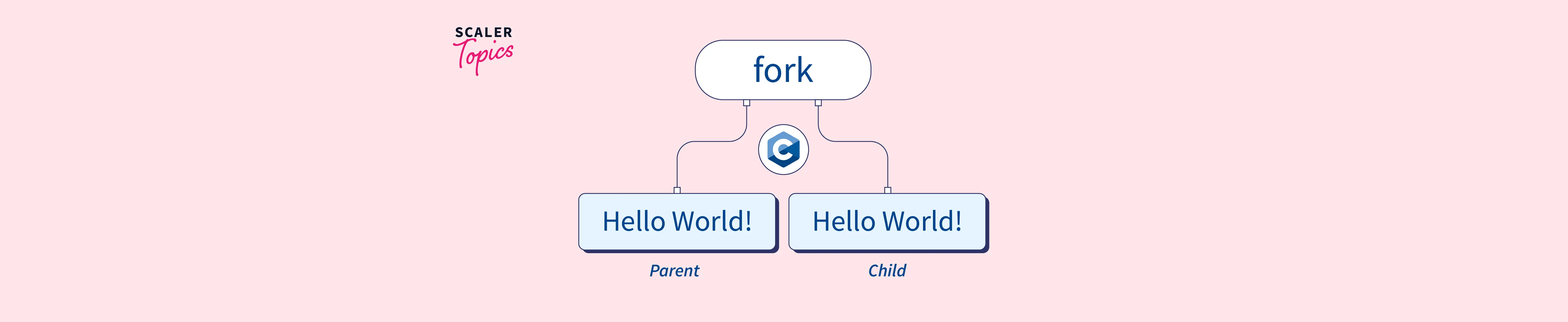 C fork() Function Scaler Topics
