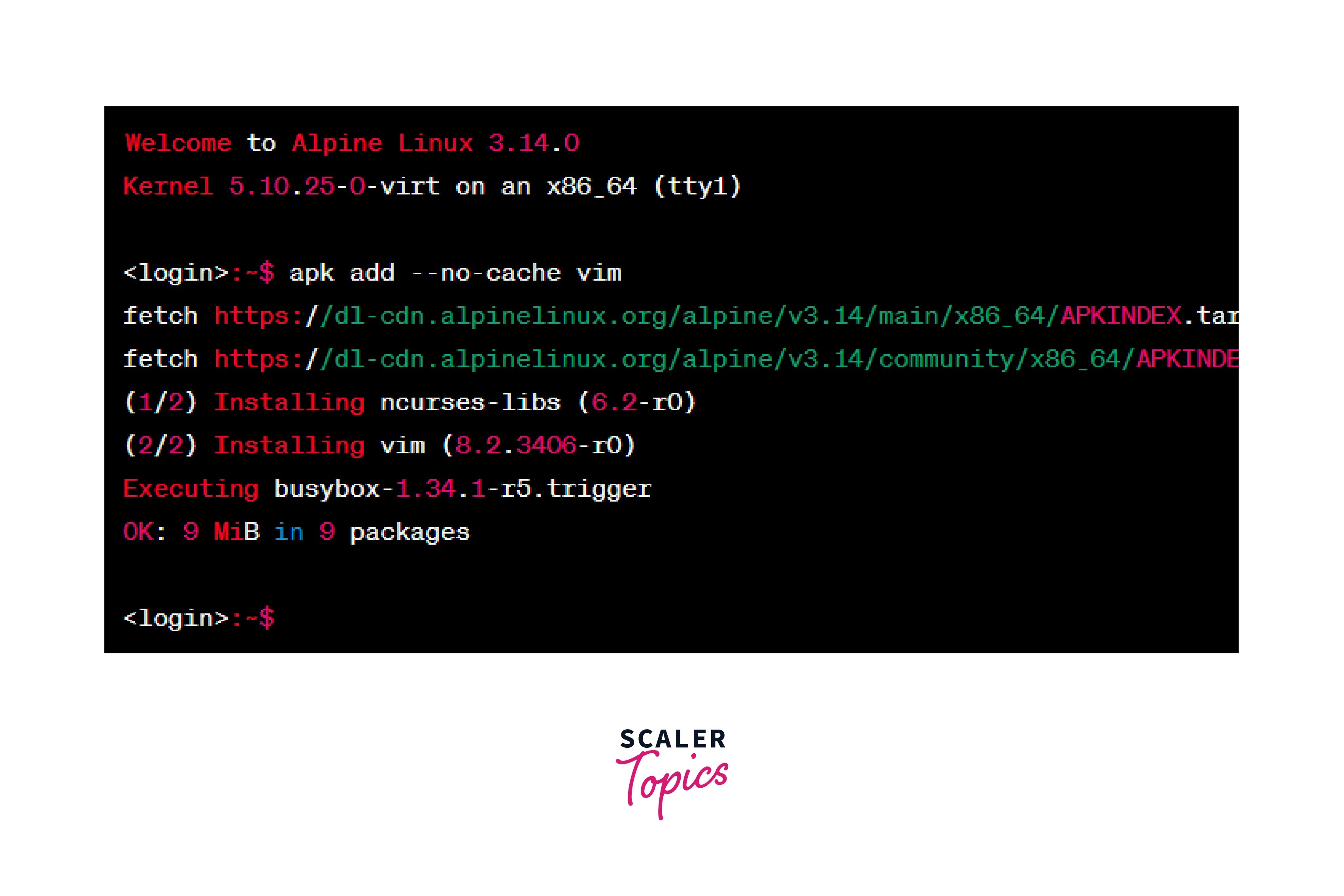 How to Install a Package on Alpine Linux? Scaler Topics