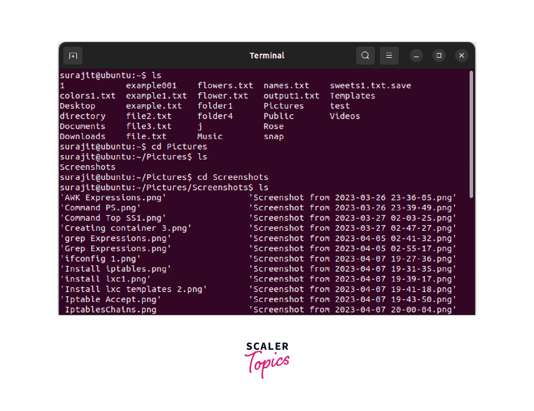 Basic Linux Commands with Examples Scaler Topics