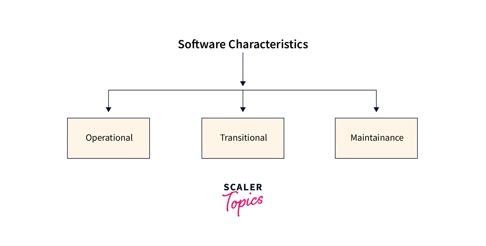 What is Software Engineering? Scaler Topics