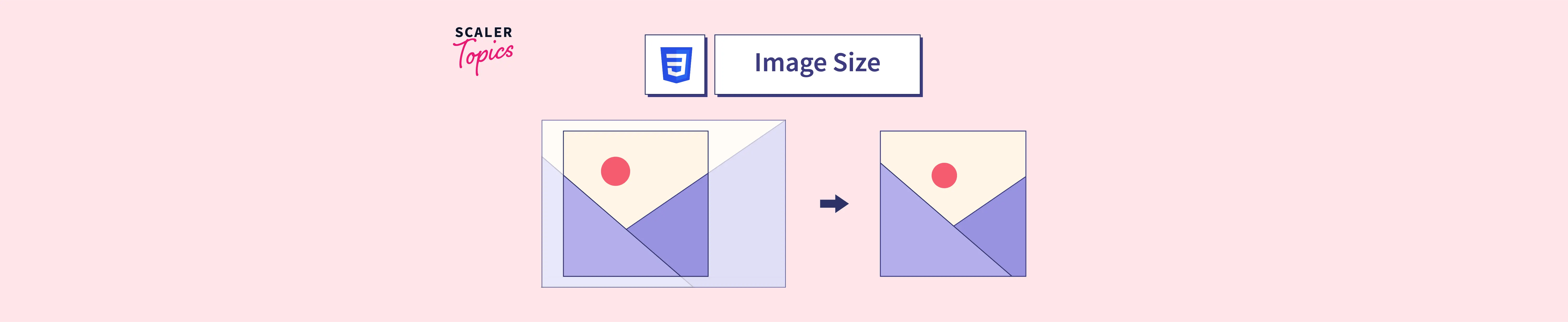 How to Change Image Size in CSS? Scaler Topics