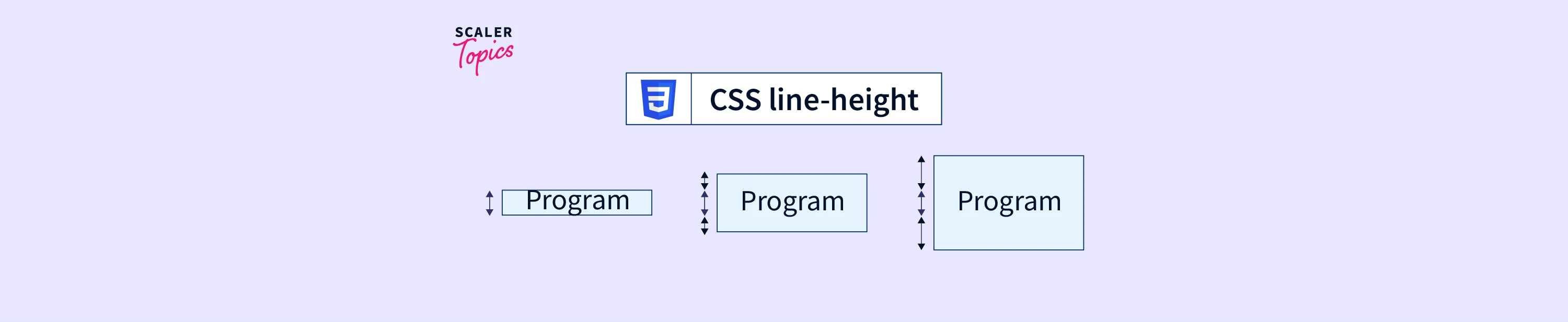 CSS LineHeight Property Scaler Topics
