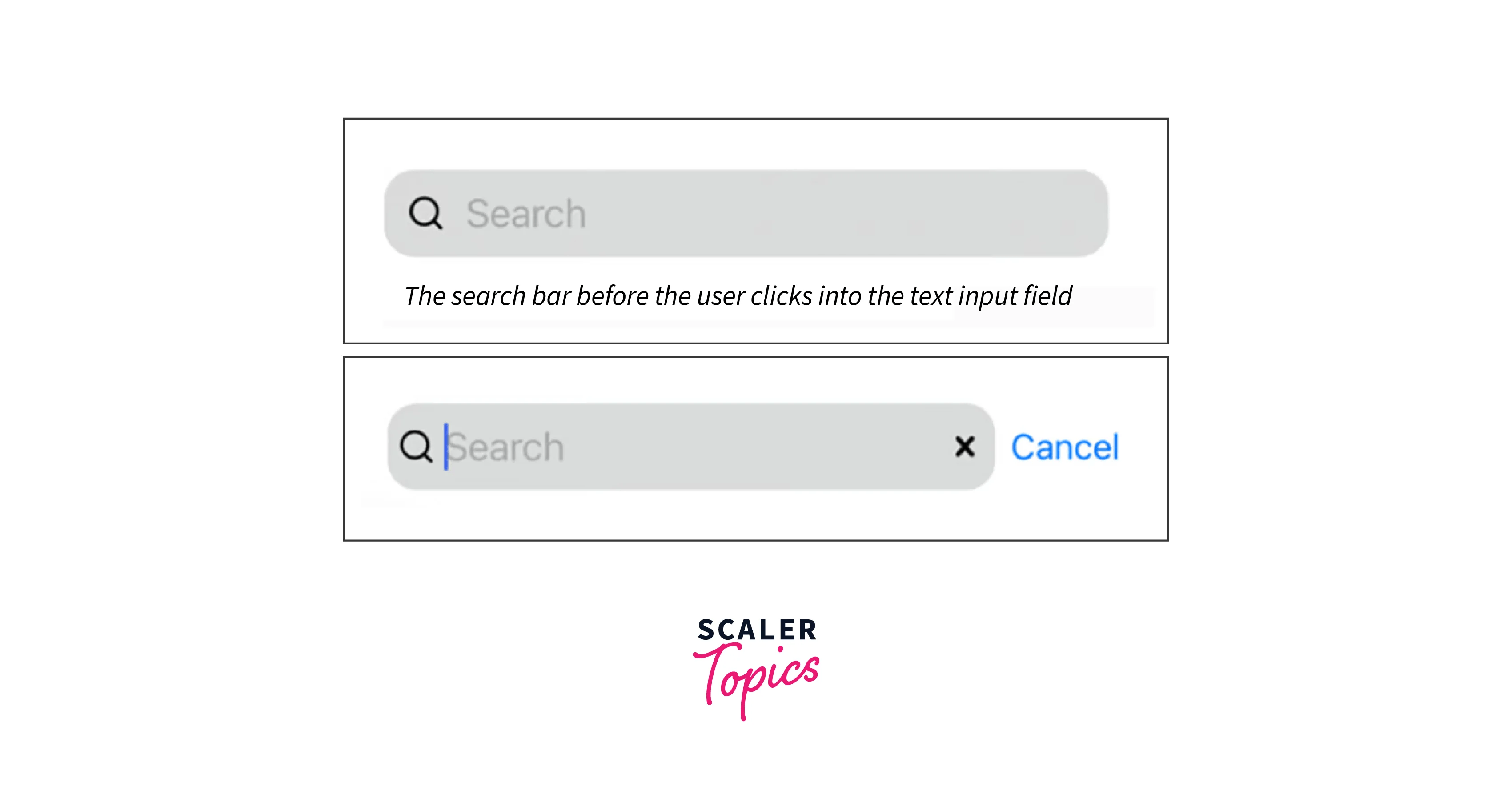 React Native Search Bar Scaler Topics