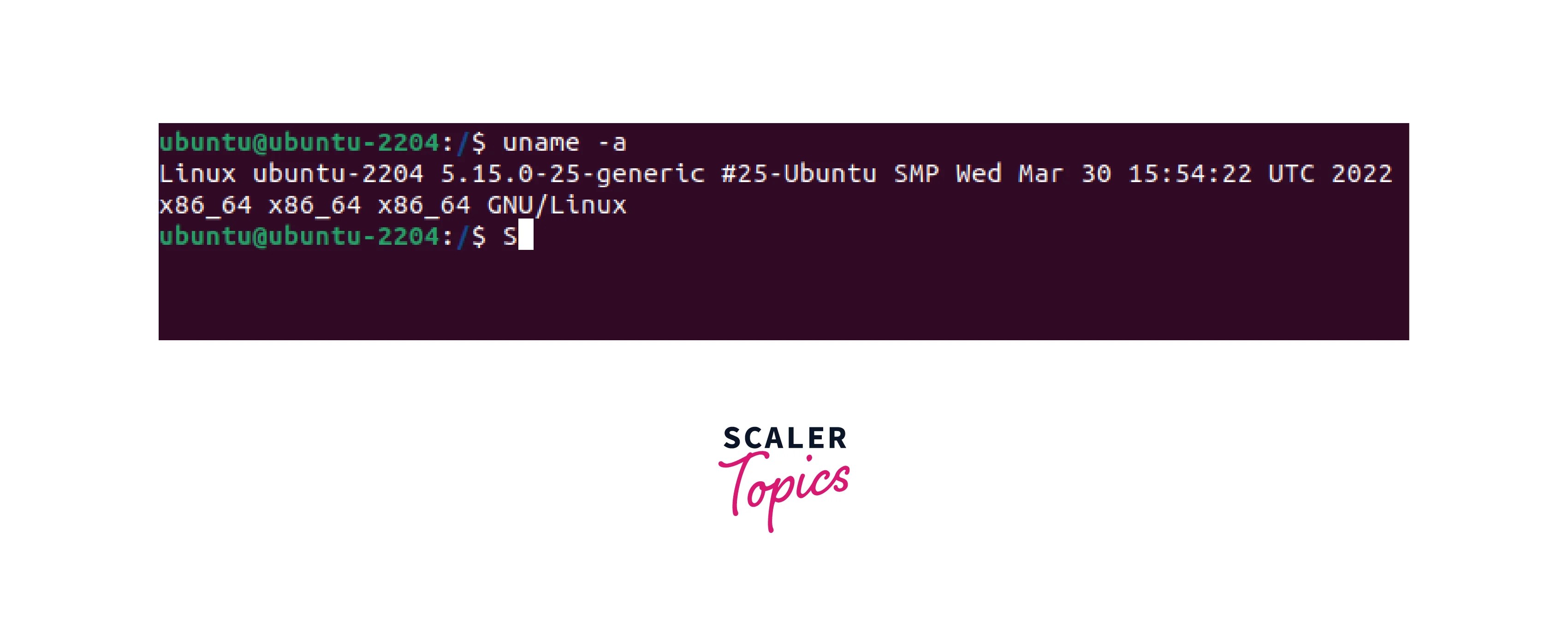 uname command in Linux Scaler Topics