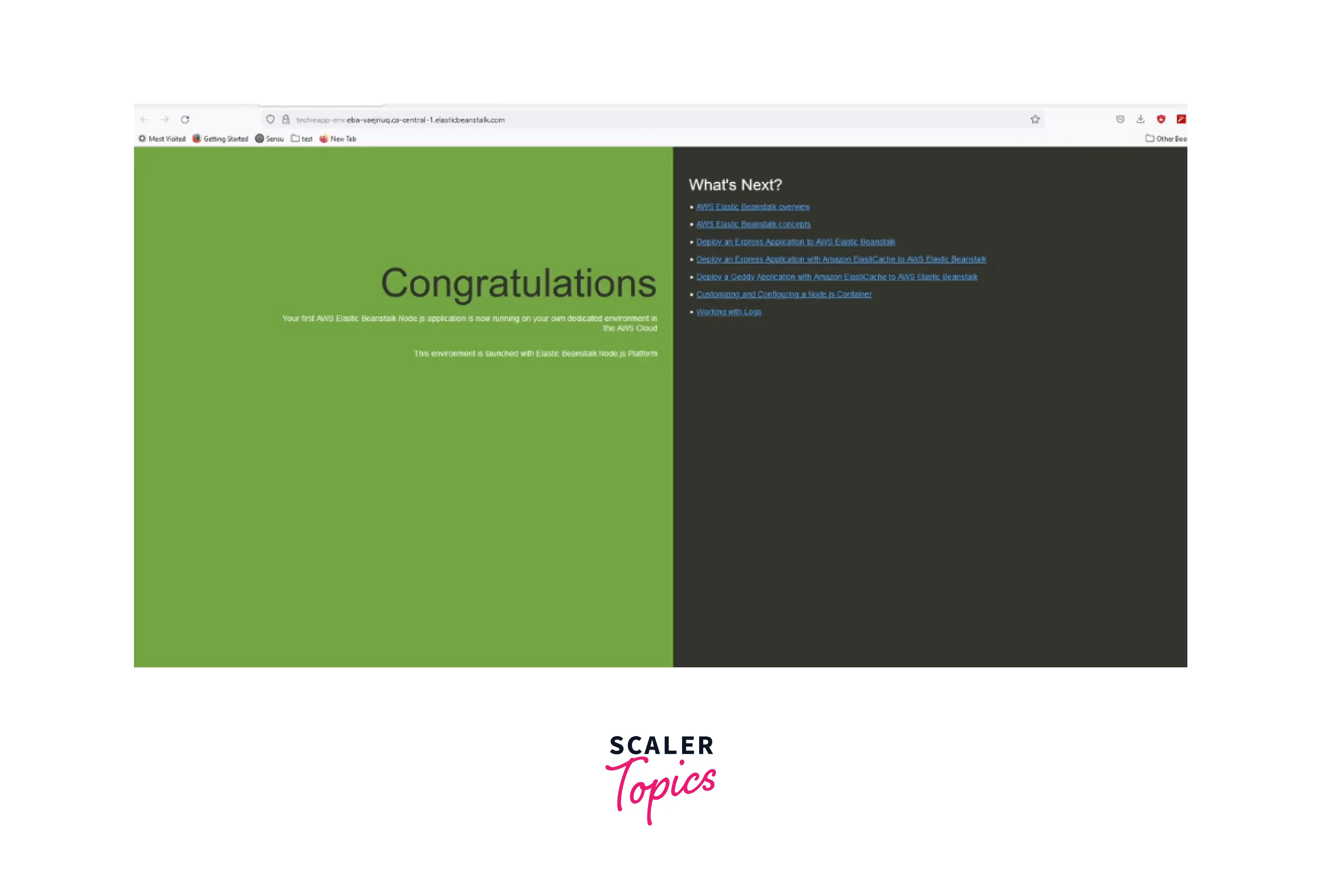 Elastic Beanstalk Scaler Topics