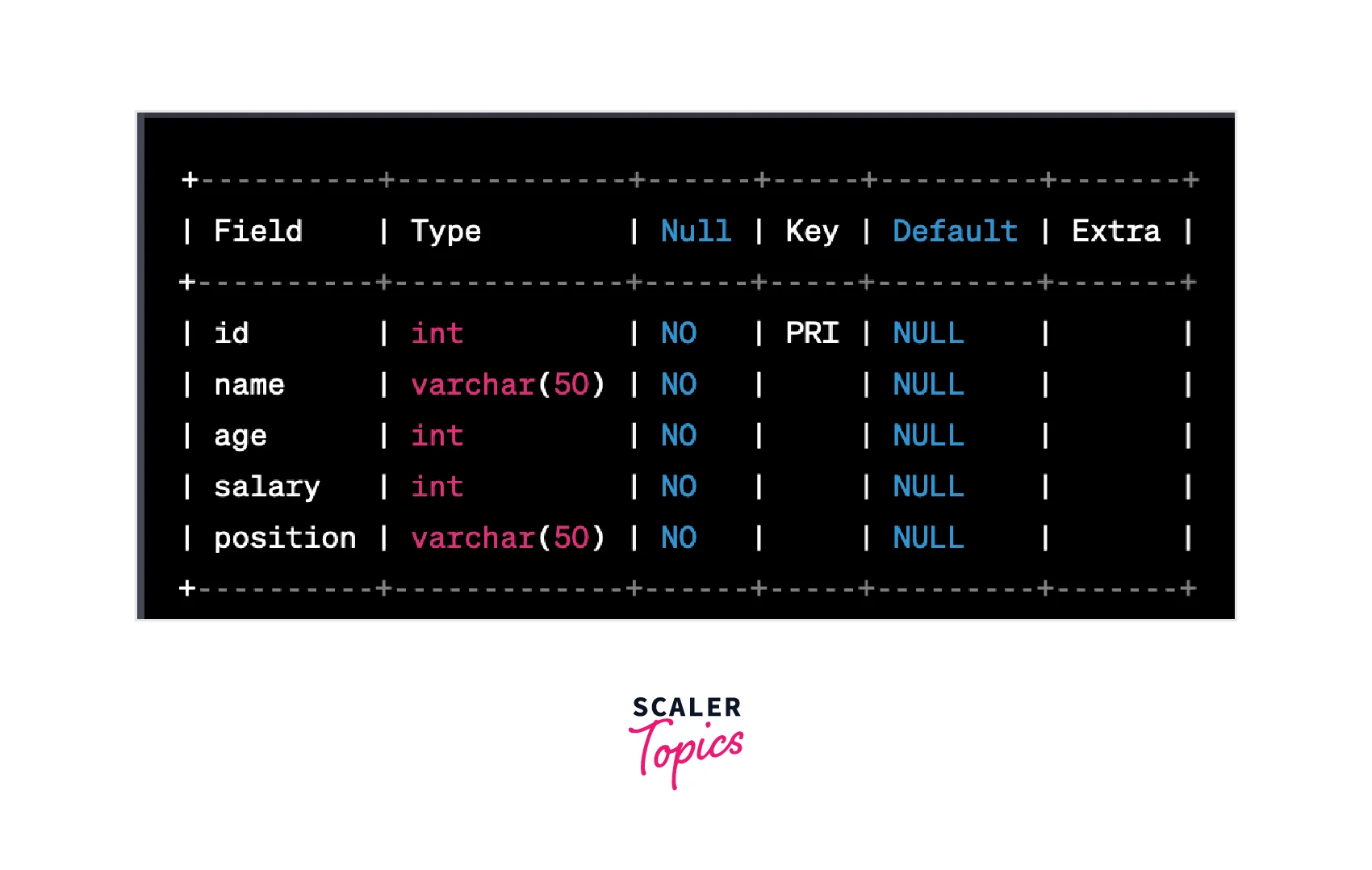 Describe table MySQL Scaler Topics