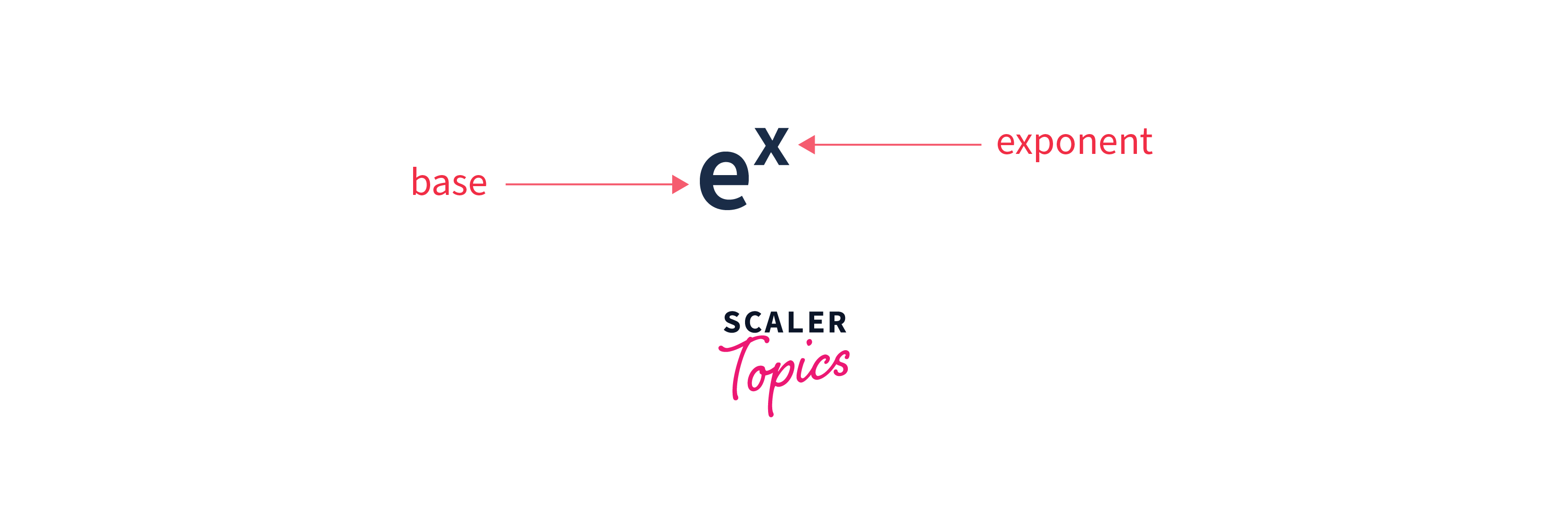 Math exp() Method in Java with Example- Scaler Topics