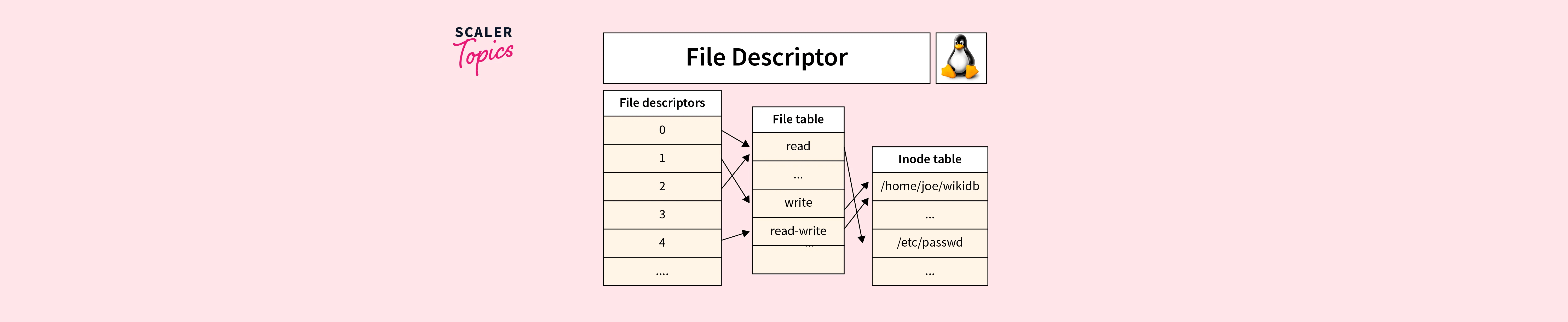 File Descriptor in Linux Scaler Topics