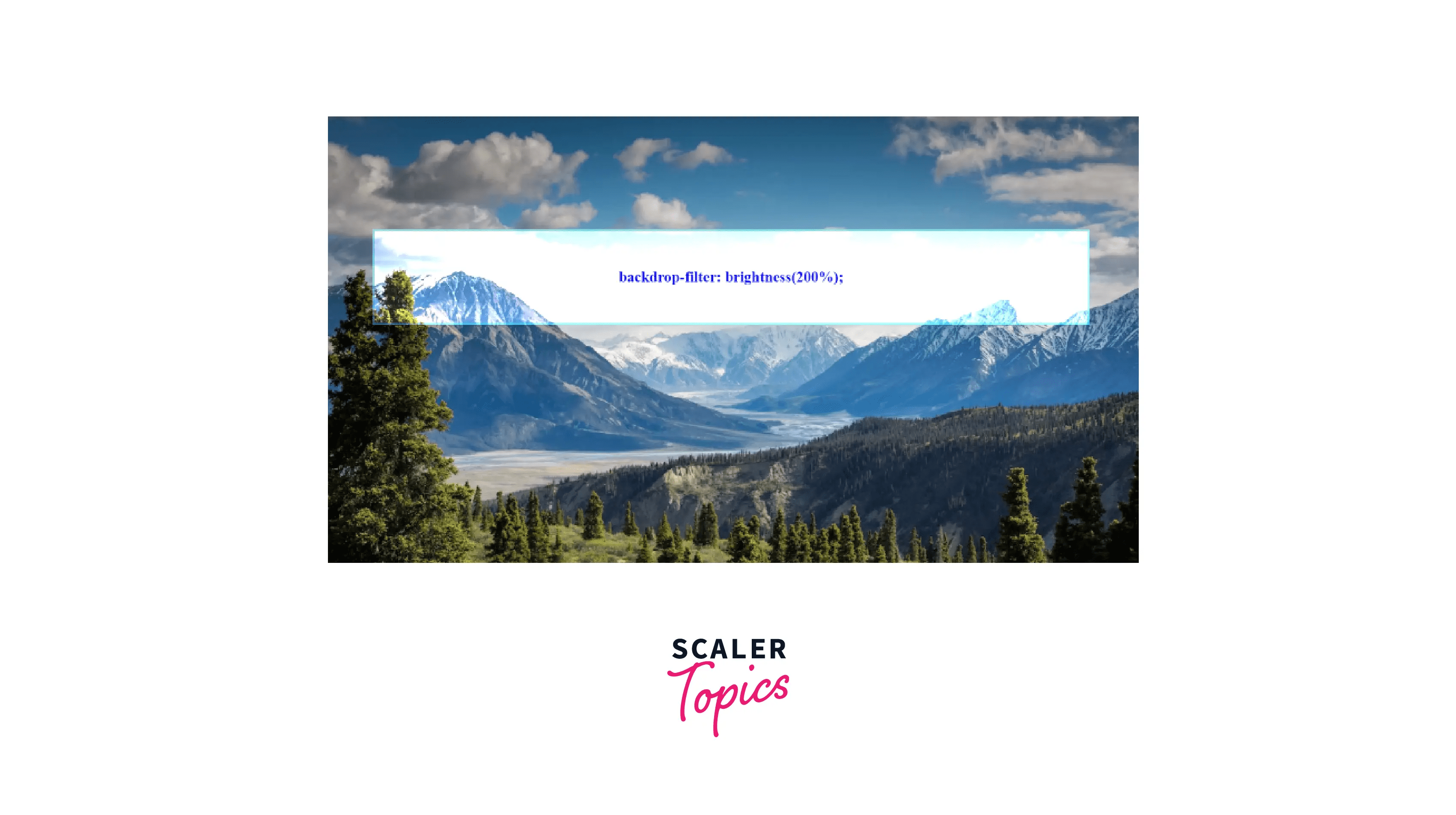 How to Make a Background Blur in CSS? Scaler Topics