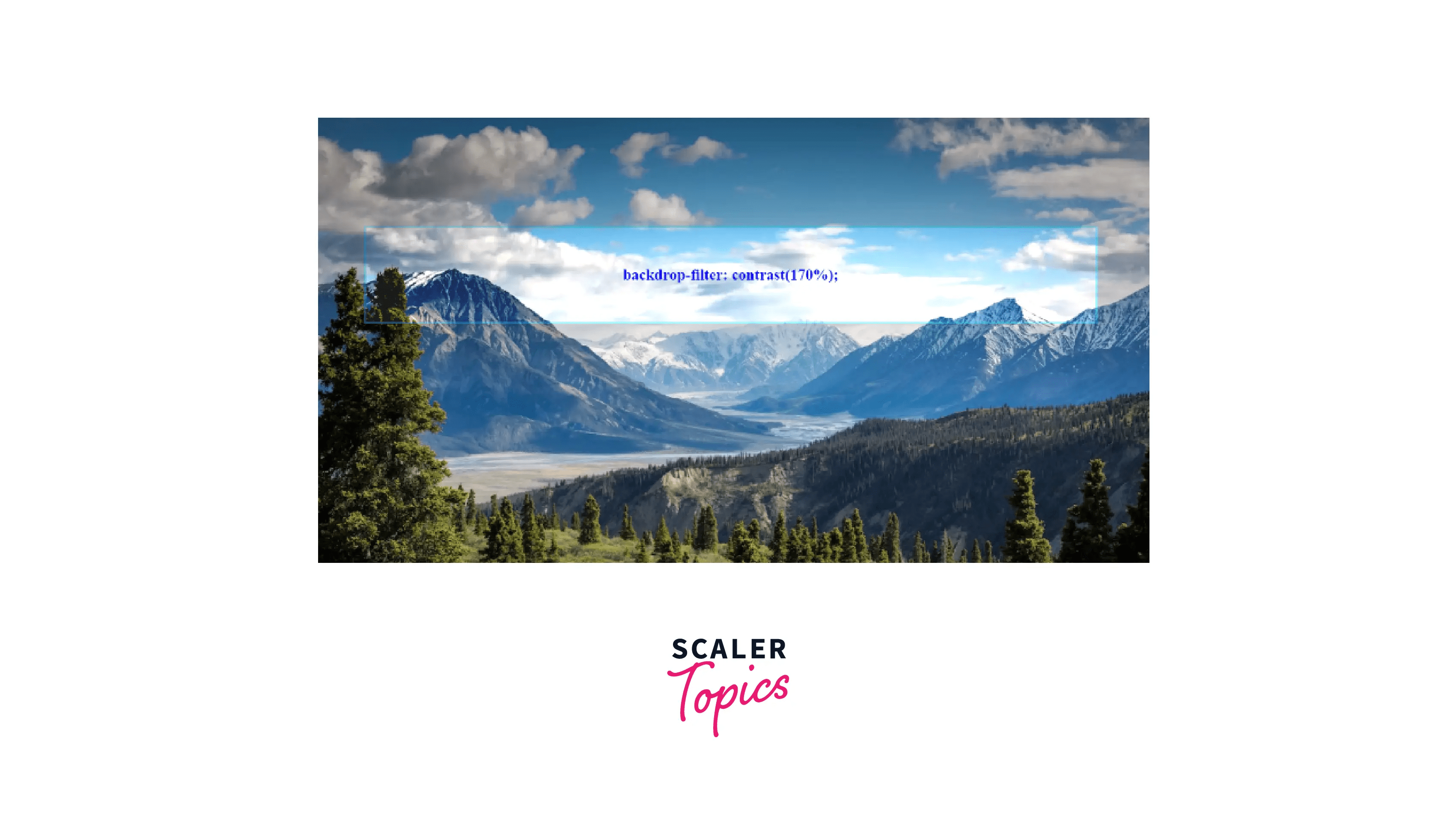 How to Make a Background Blur in CSS? Scaler Topics