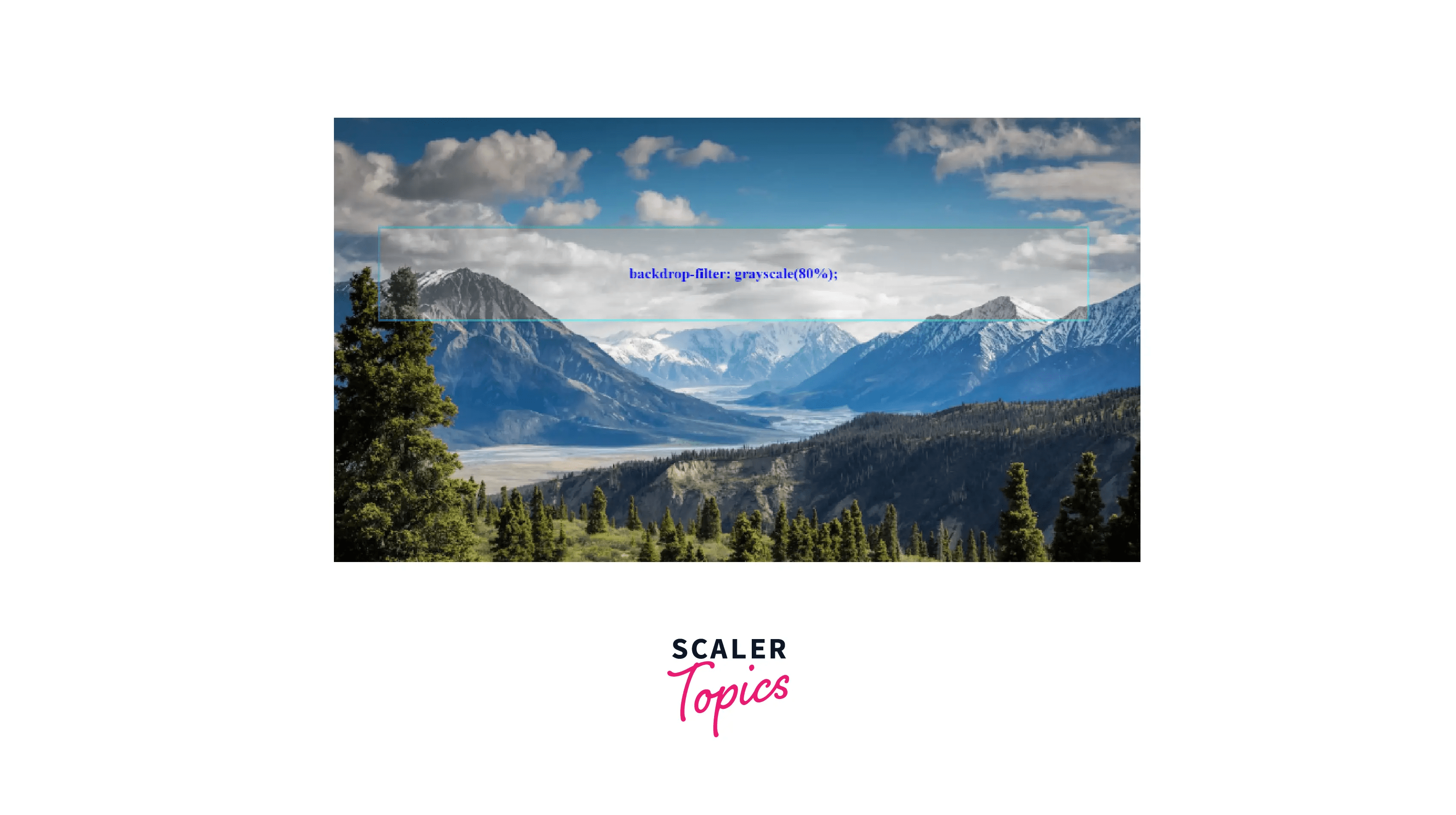 How to Make a Background Blur in CSS? Scaler Topics
