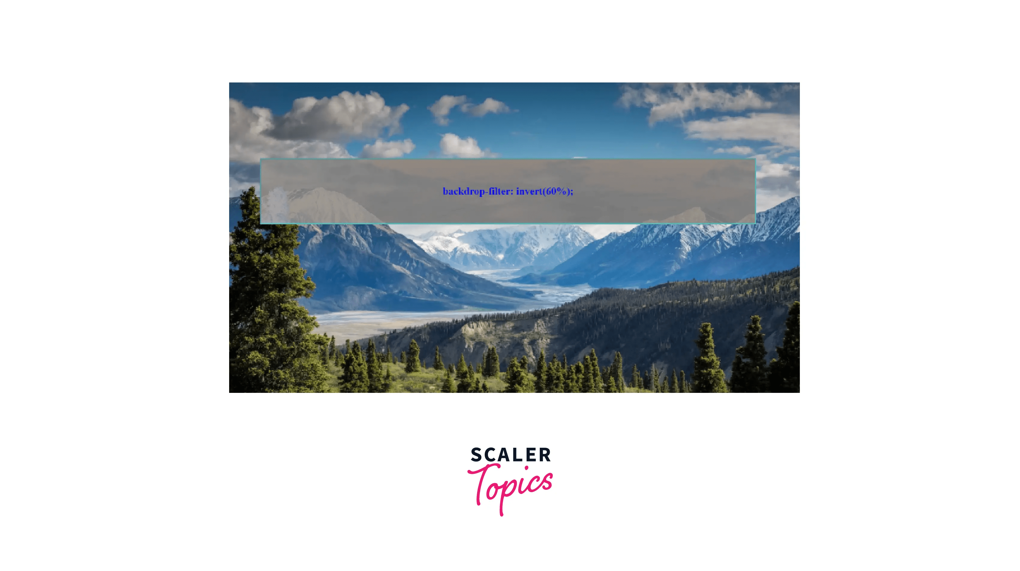 How to Make a Background Blur in CSS? Scaler Topics
