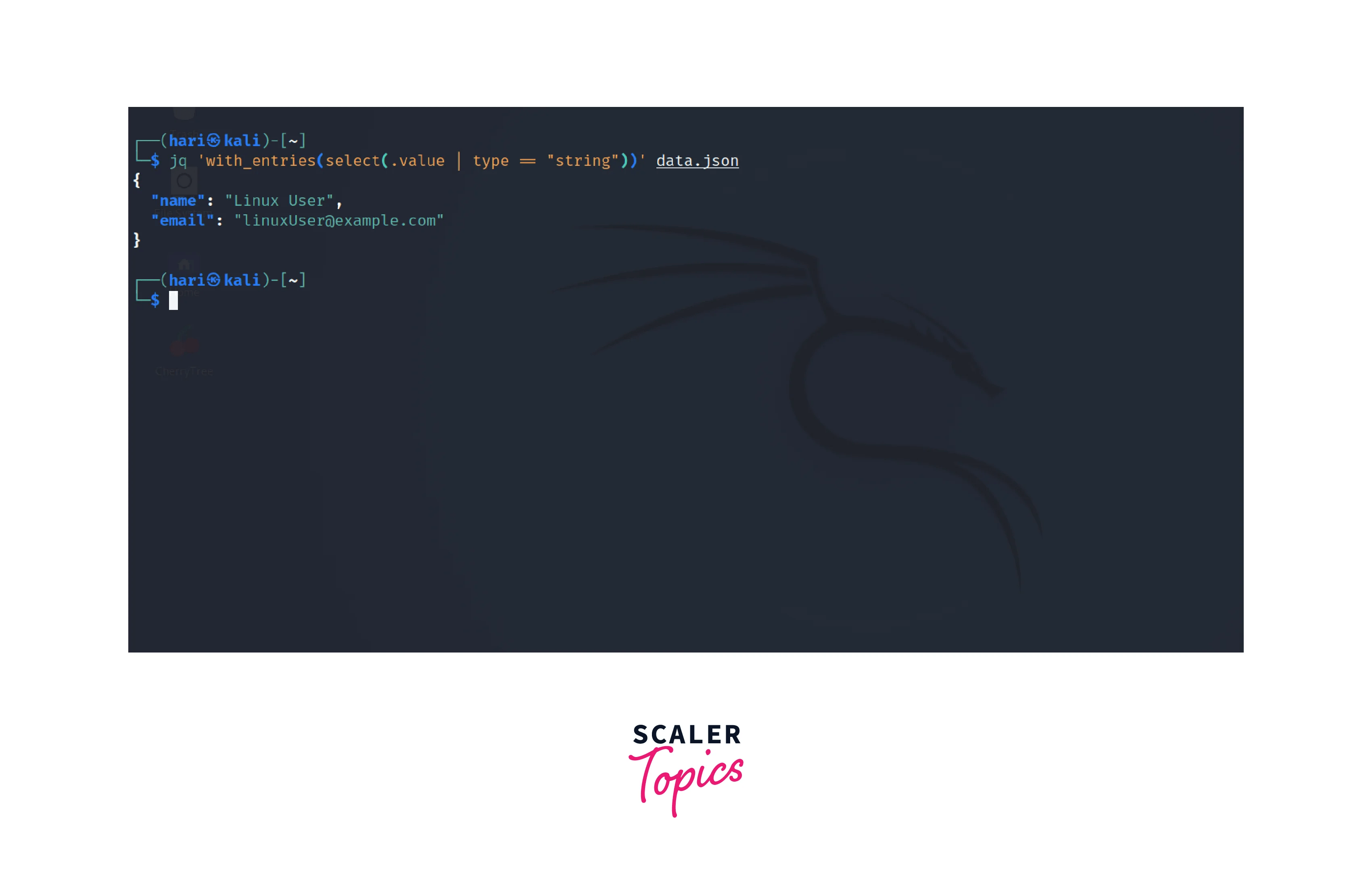 How to Install the JQ Command in Linux? Scaler Topics