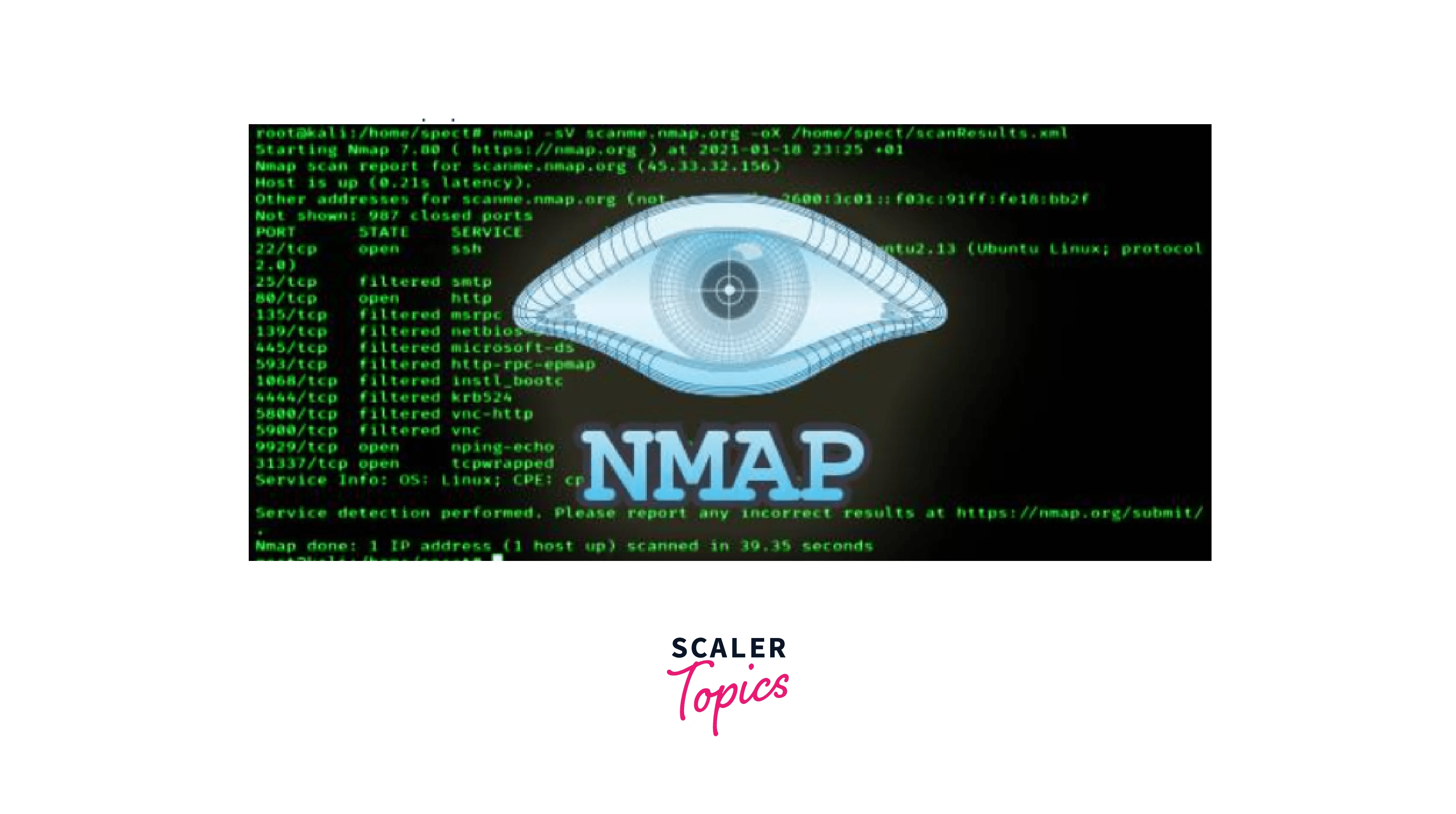 Filtering Ports with Nmap Scaler Topics