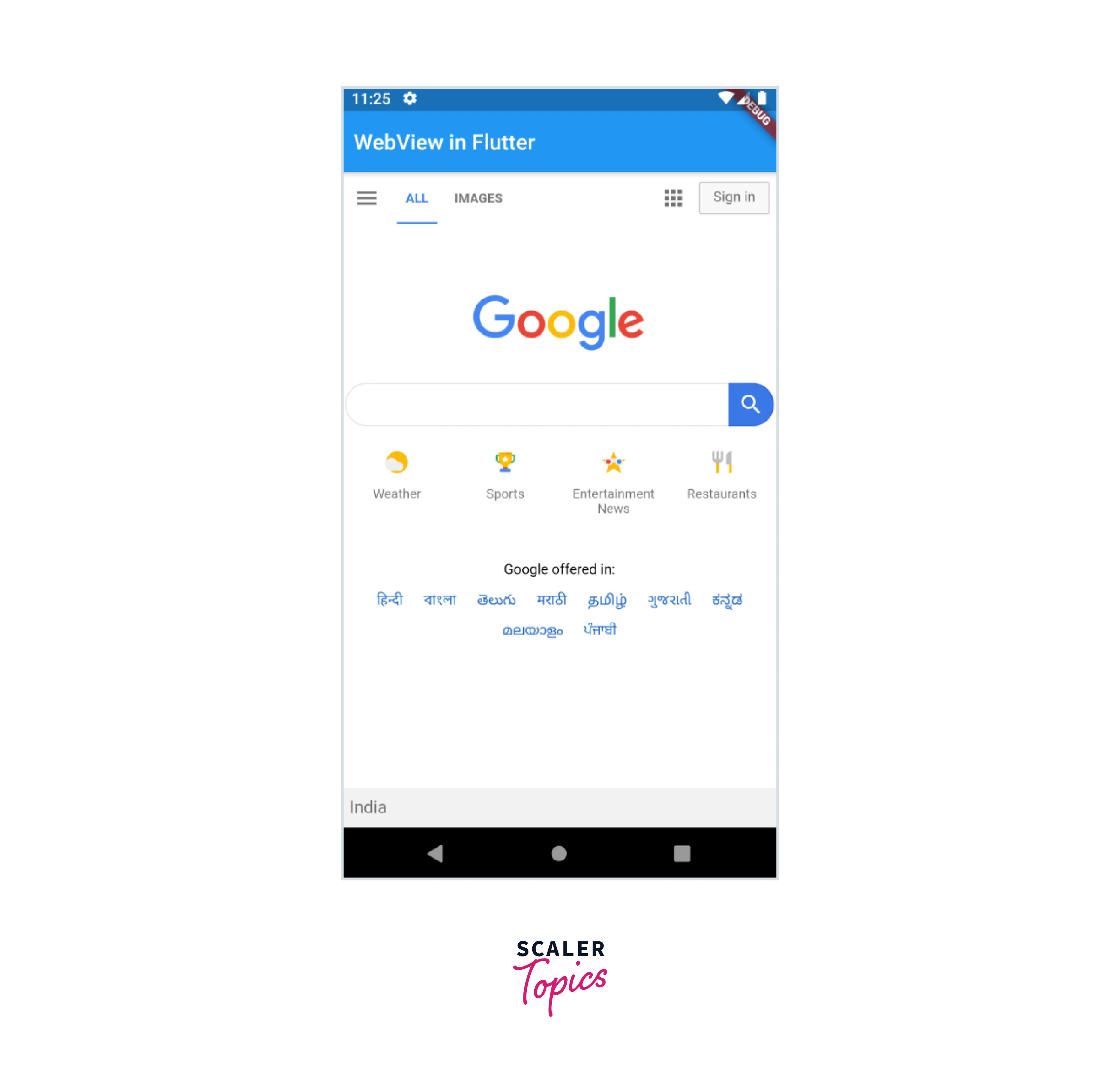 How to Render pages Using Flutter view? Scaler Topics
