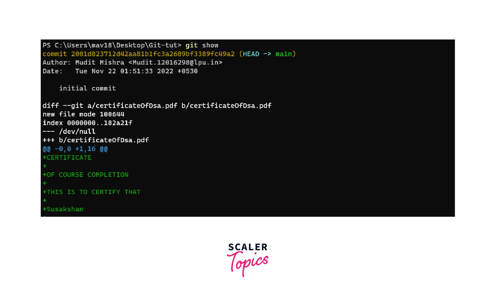 Git show Scaler Topics