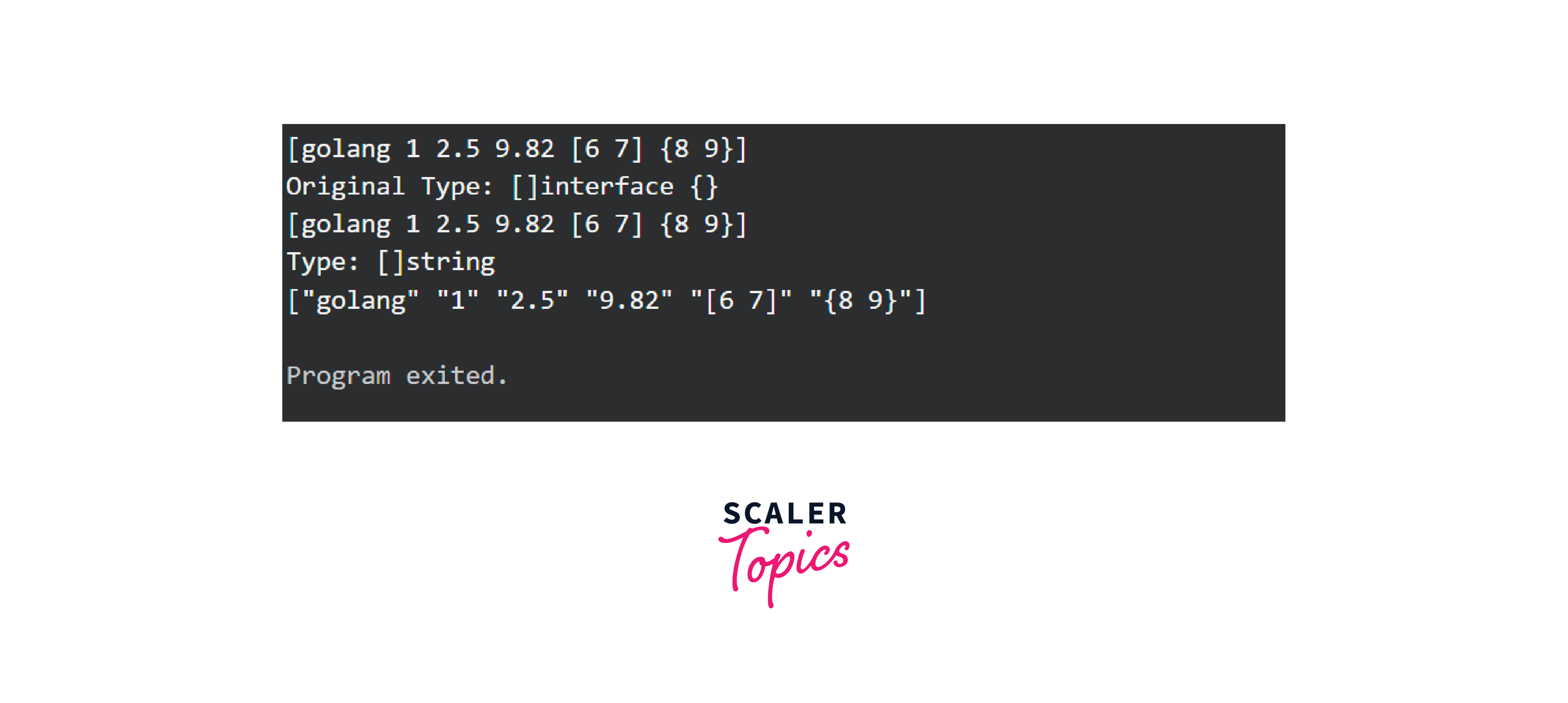 Golang Interface to String Scaler Topics
