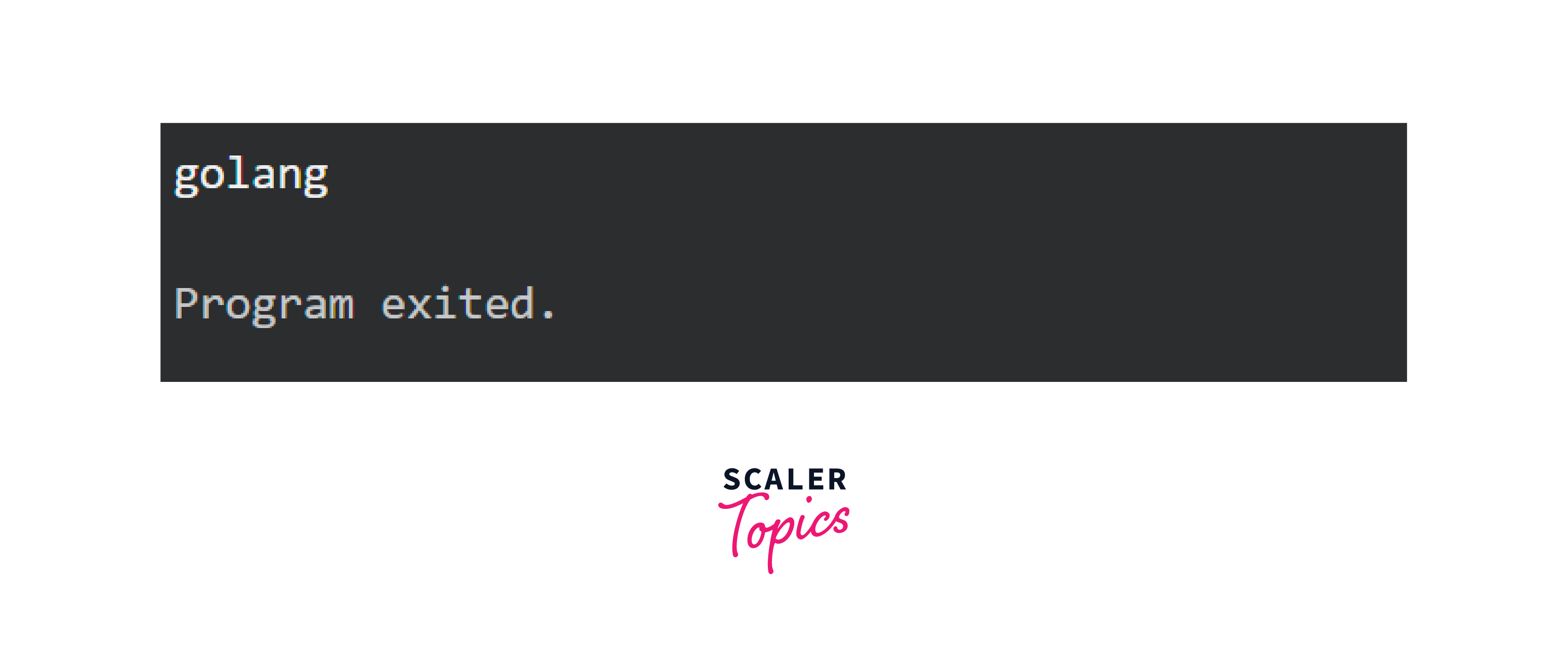 Golang Interface to String Scaler Topics
