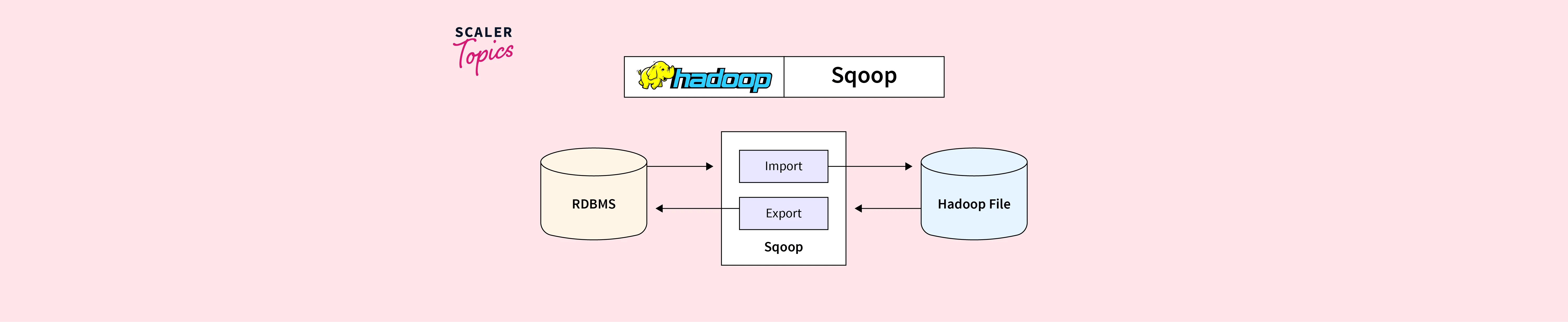 SQOOP in Hadoop Scaler Topics