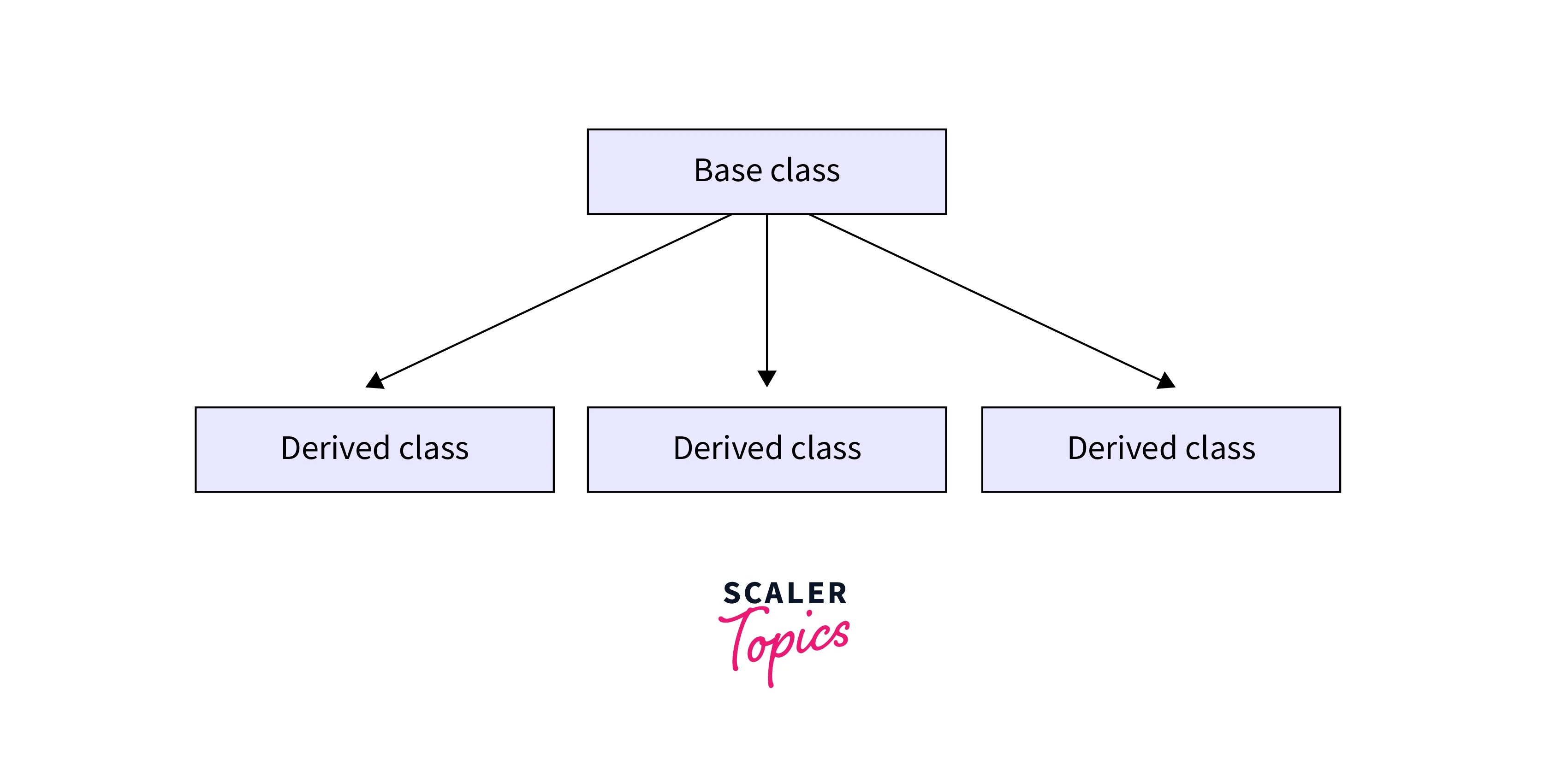 C Inheritance with Examples Scaler Topics