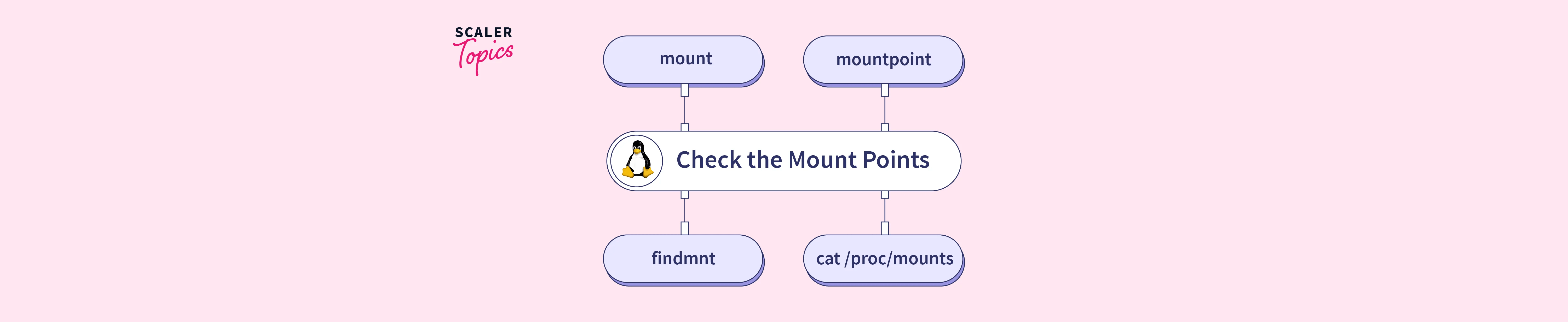 How to Check the Mount Points in Linux? Scaler Topics
