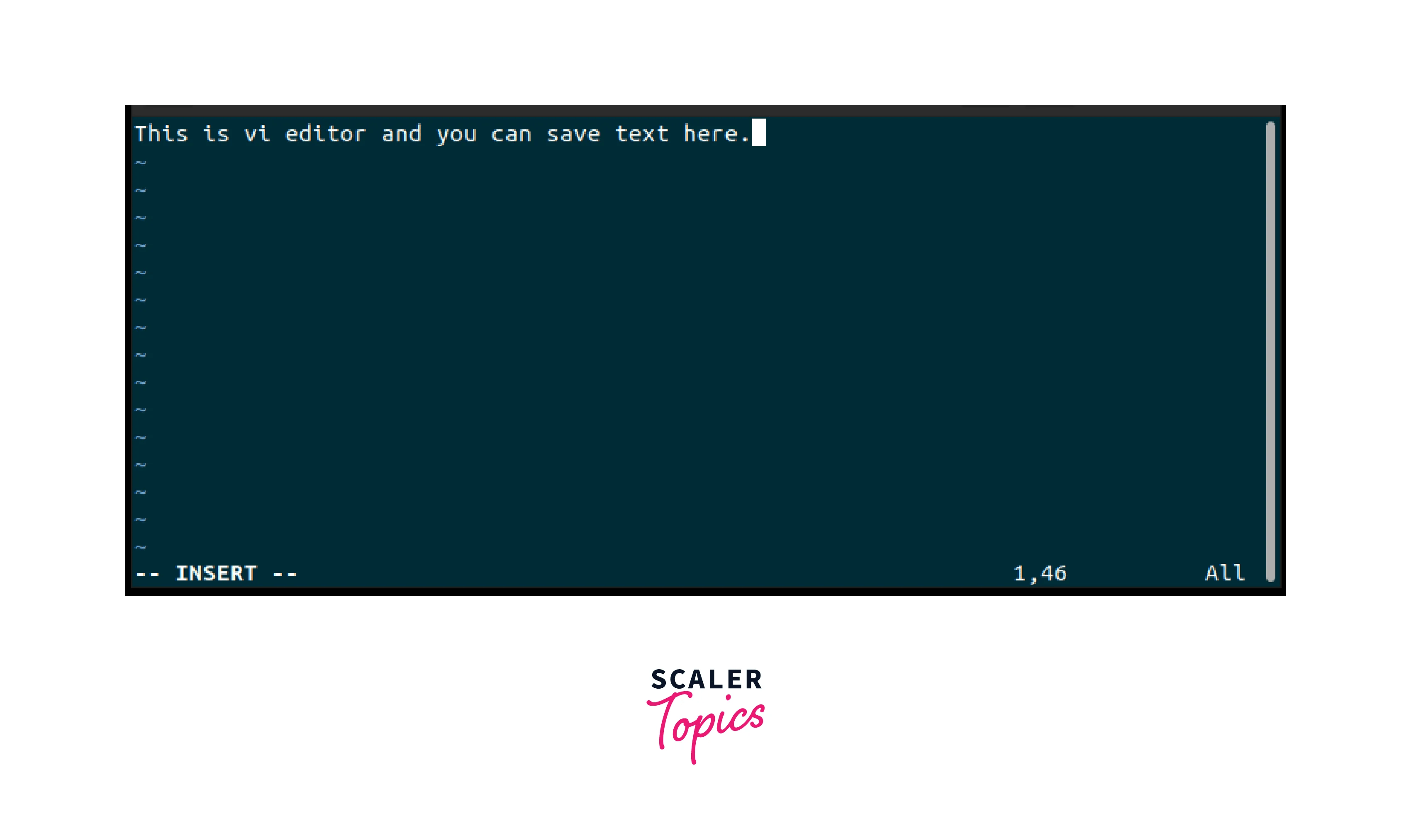 How to Exit Vim in Linux? Scaler Topics