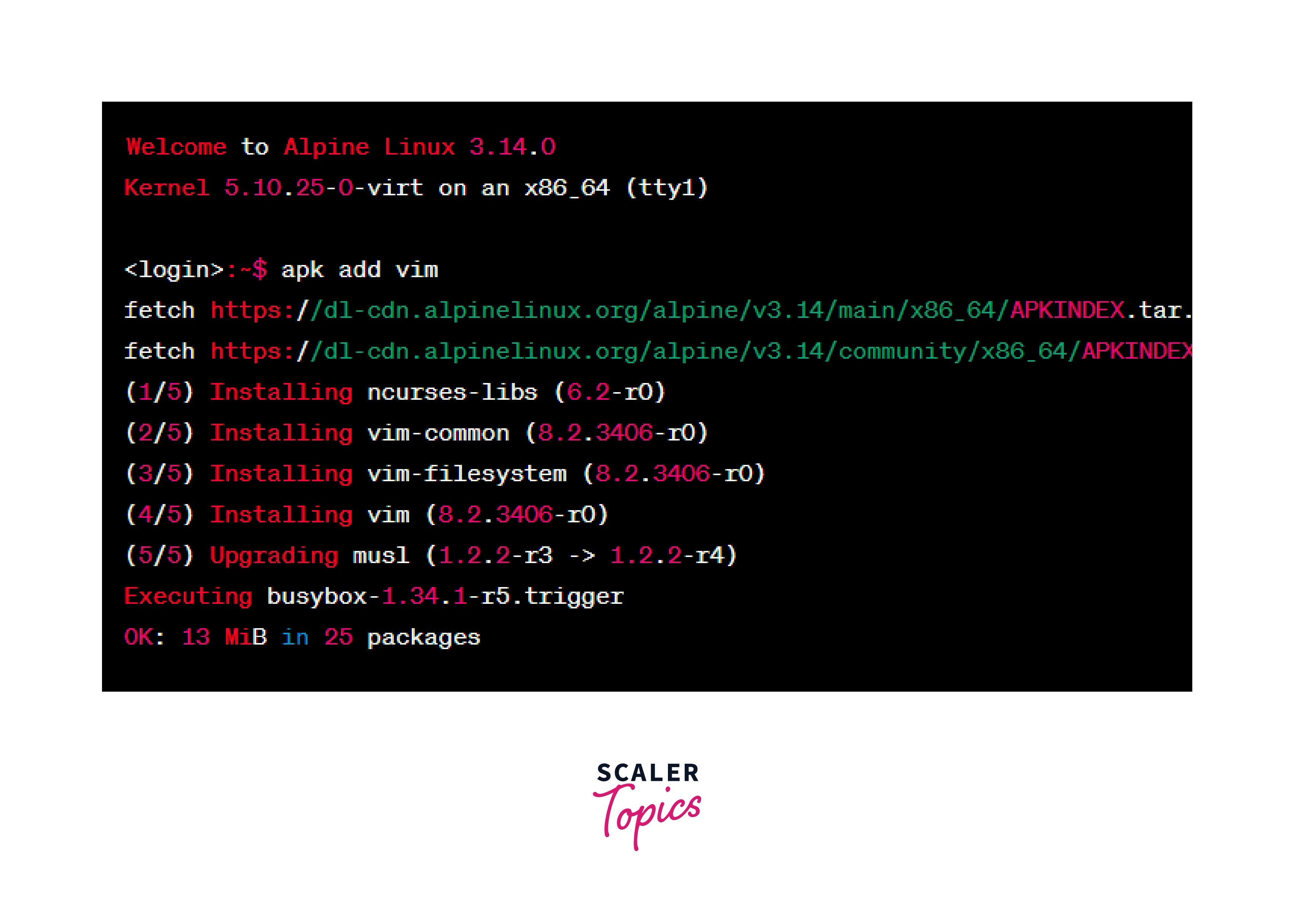 How to Install a Package on Alpine Linux? Scaler Topics