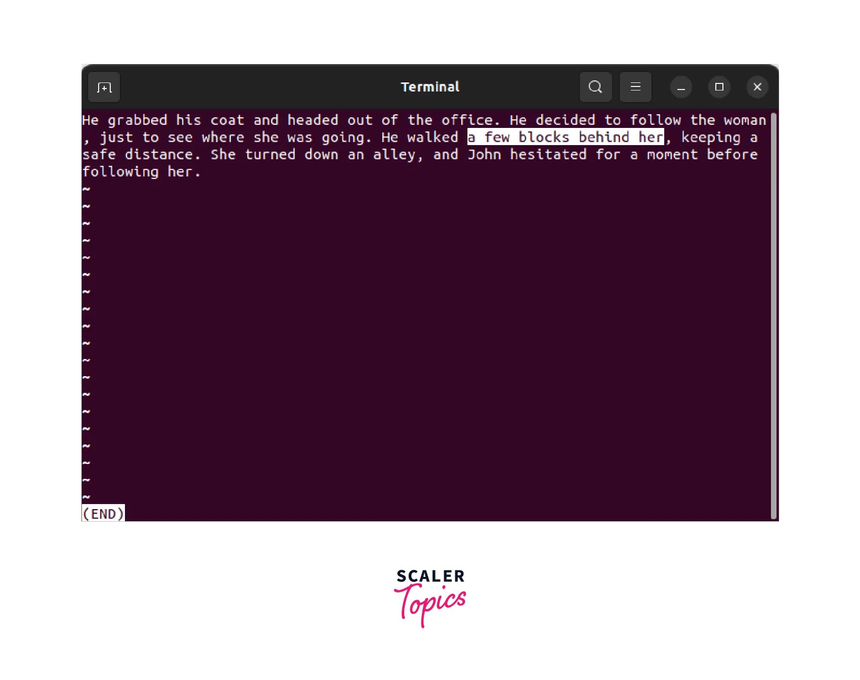 Basic Linux Commands with Examples Scaler Topics
