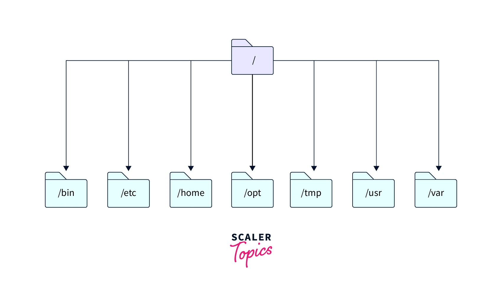 Linux File System and Directory Structure Scaler Topics