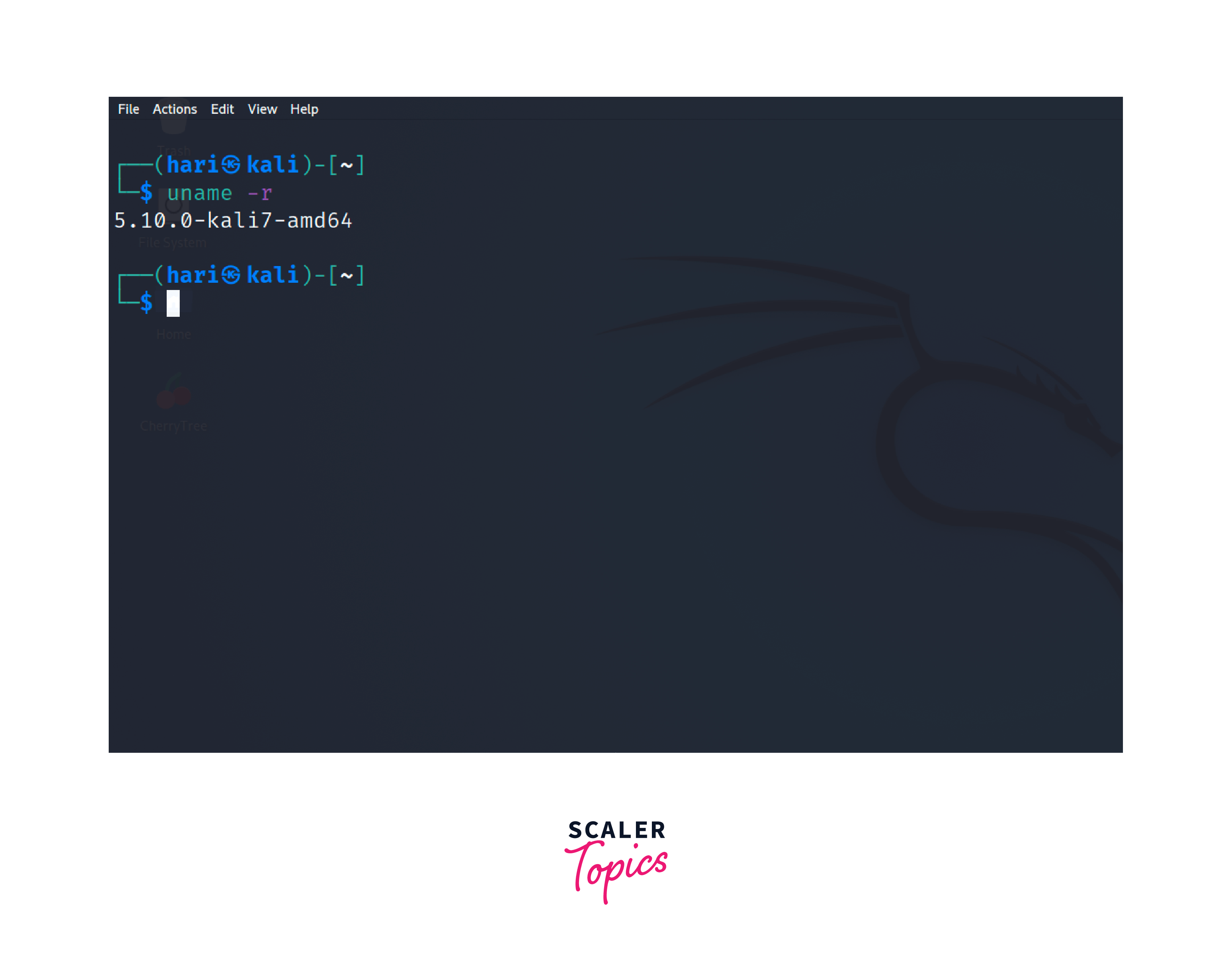 How To Check Linux System Version? Scaler Topics