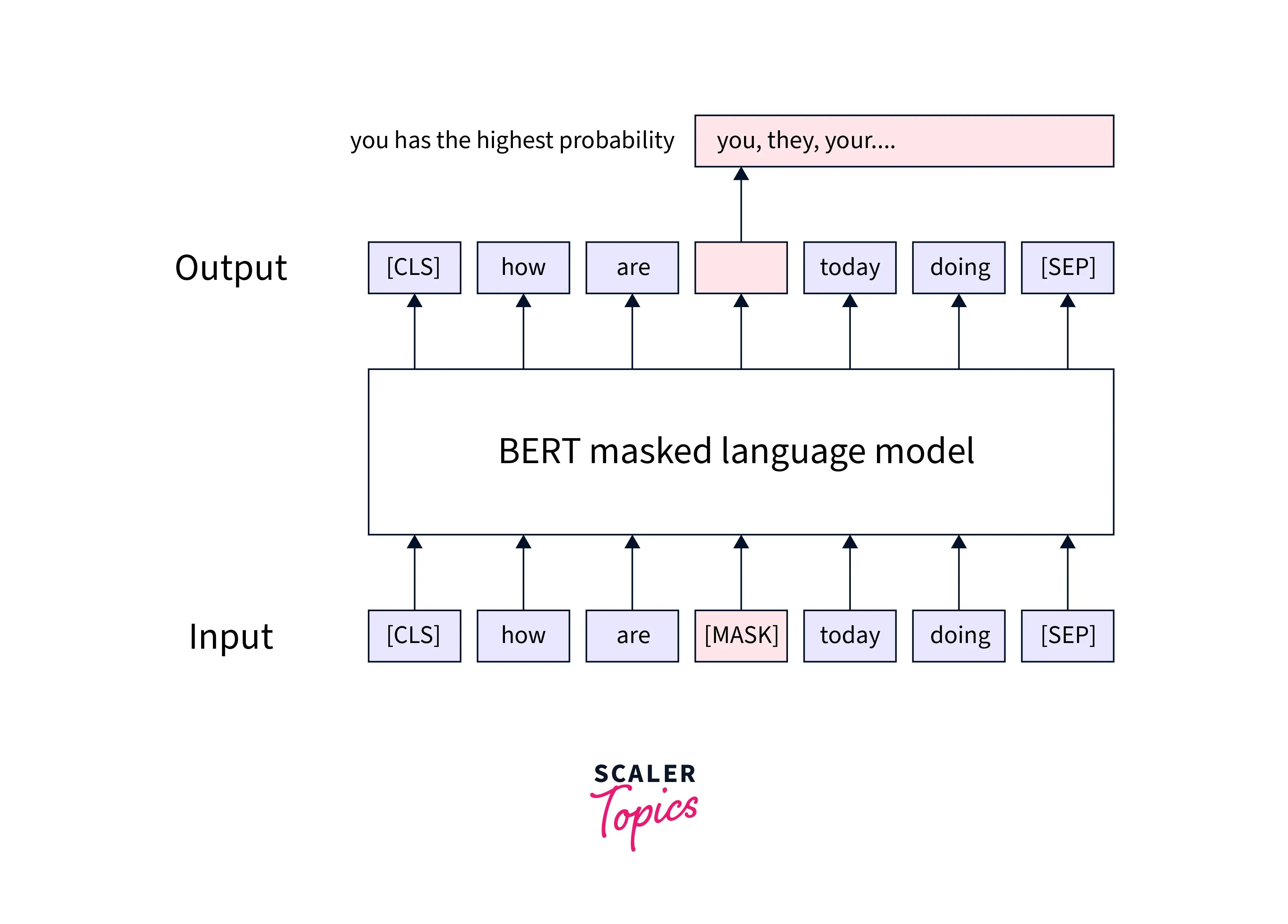 Pre-training the BERT model - Scaler Topics
