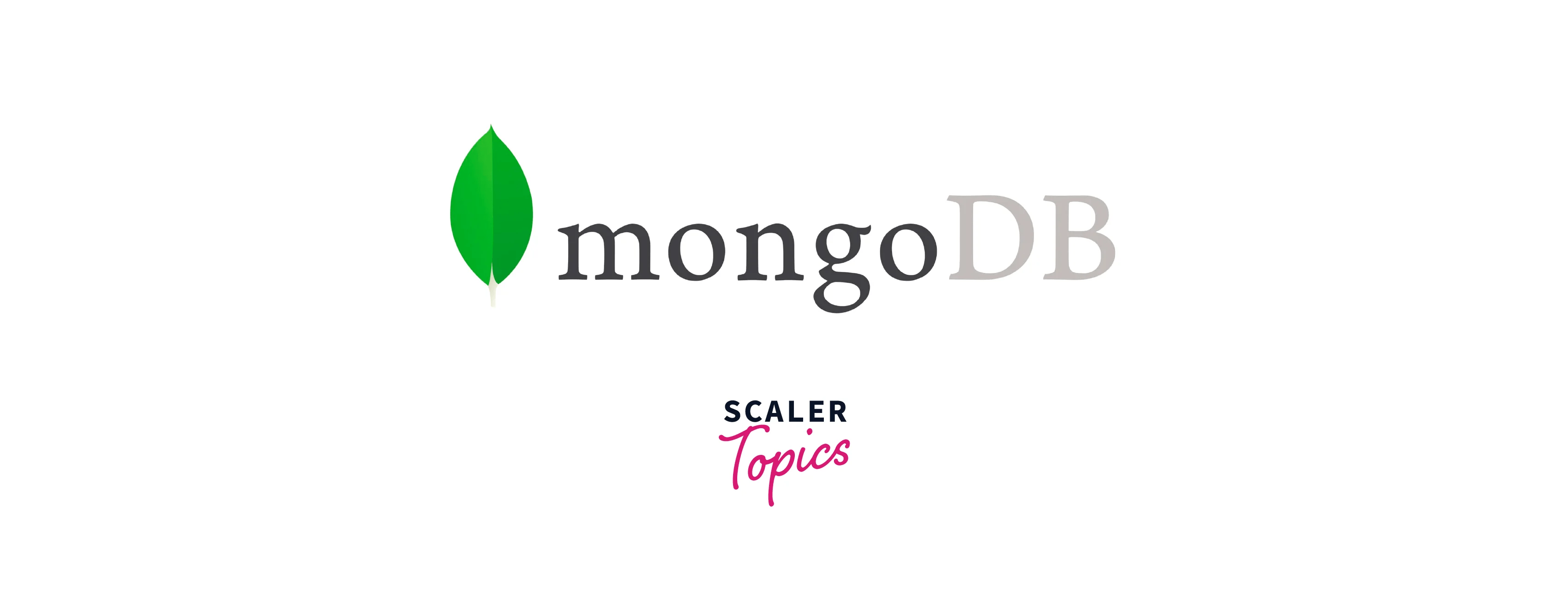 Elasticsearch Vs MongoDB Key Differences Scaler Topics