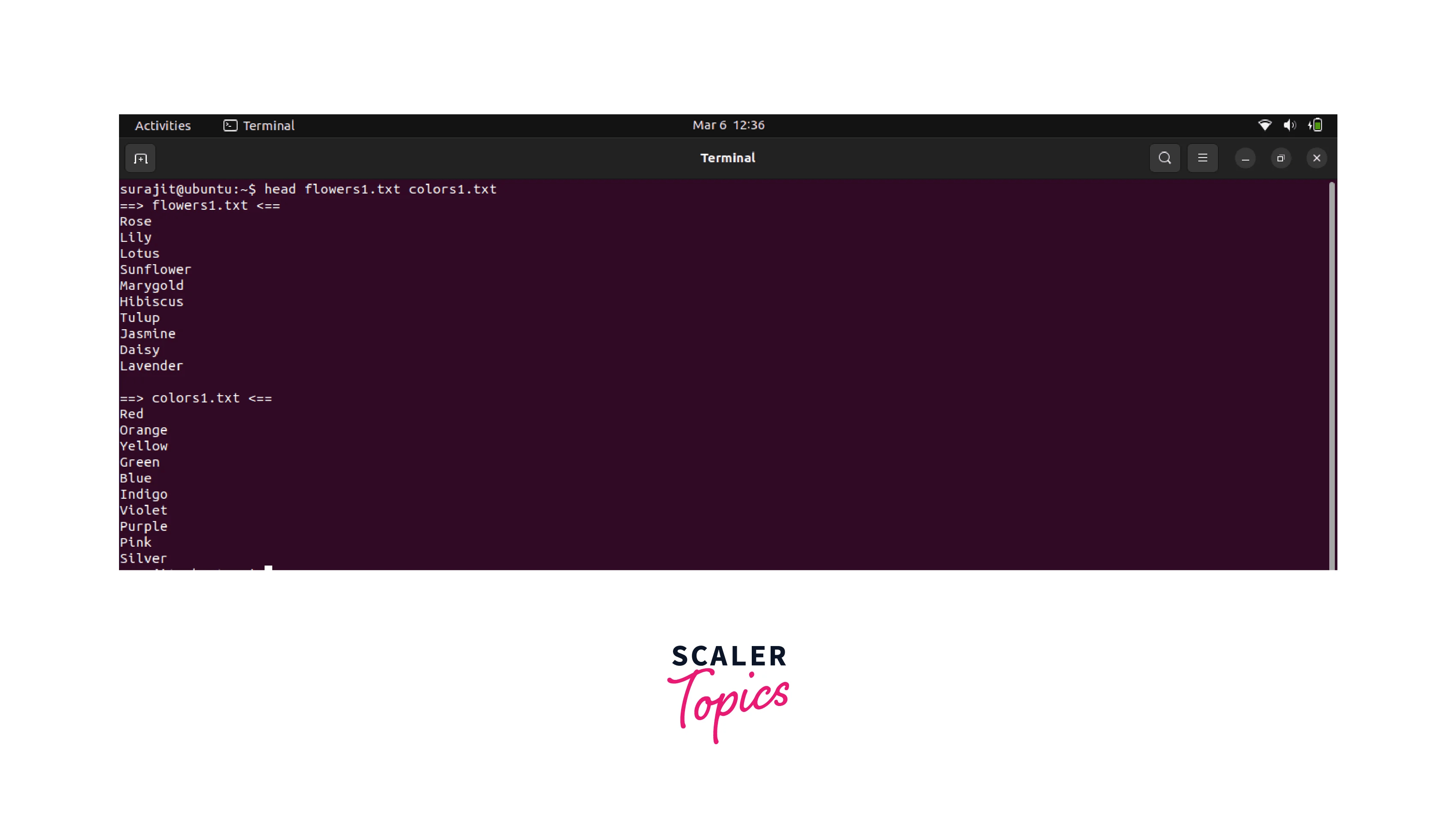 Head Command in Linux Scaler Topics