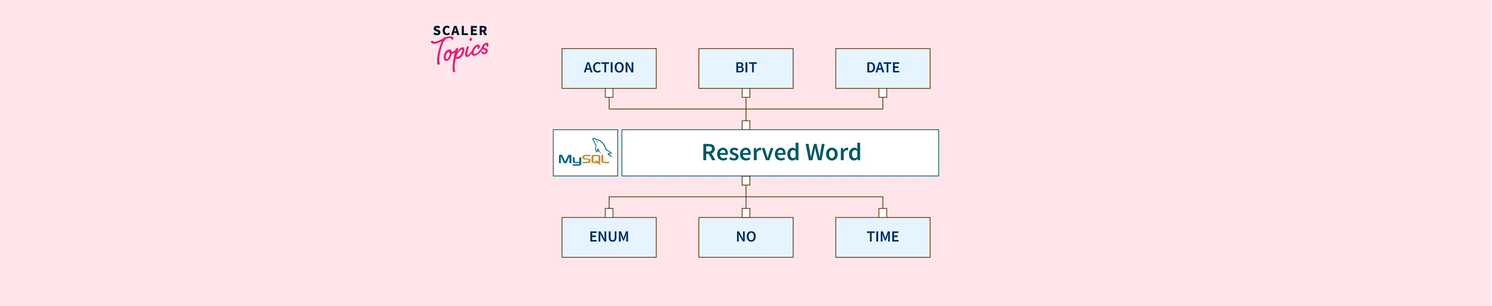 What are the MySQL Reserved Words? Scaler Topics