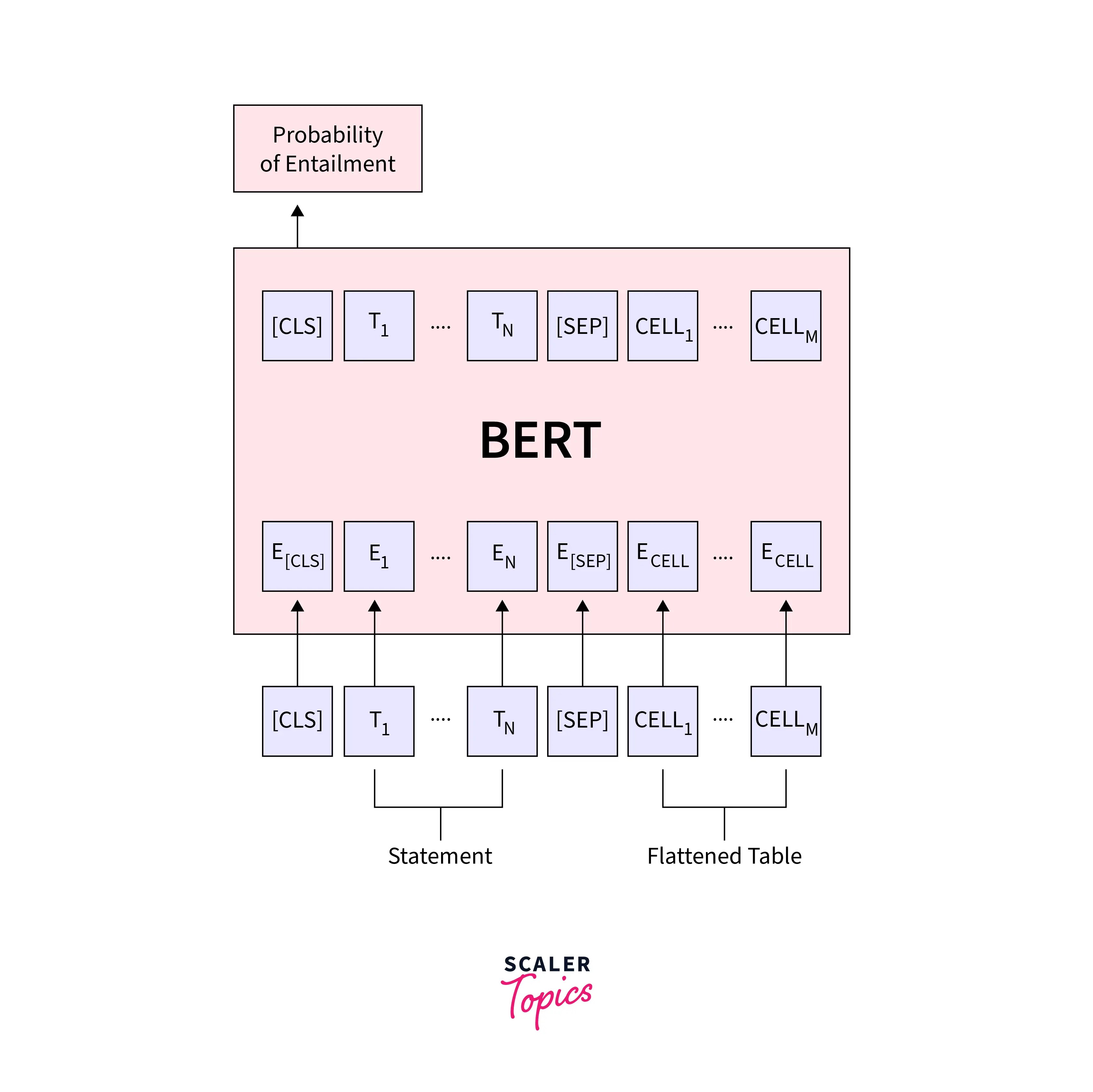 BERT for downstream tasks Scaler Topics