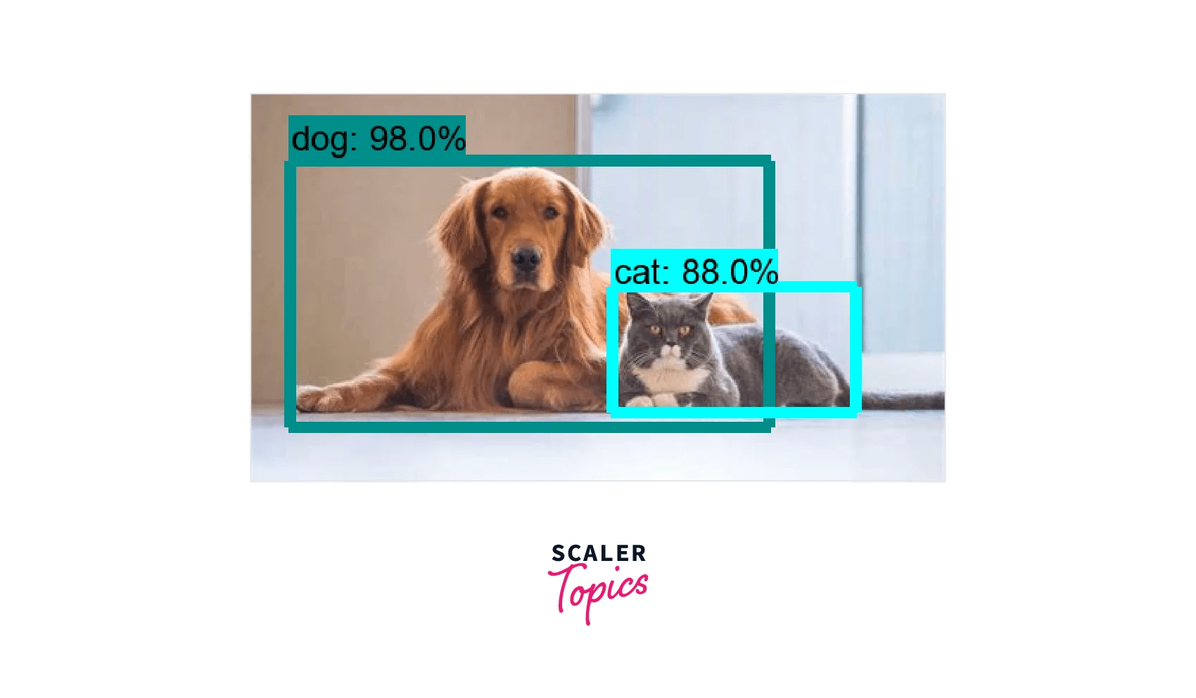 Object Detection with OpenCV Scaler Topics