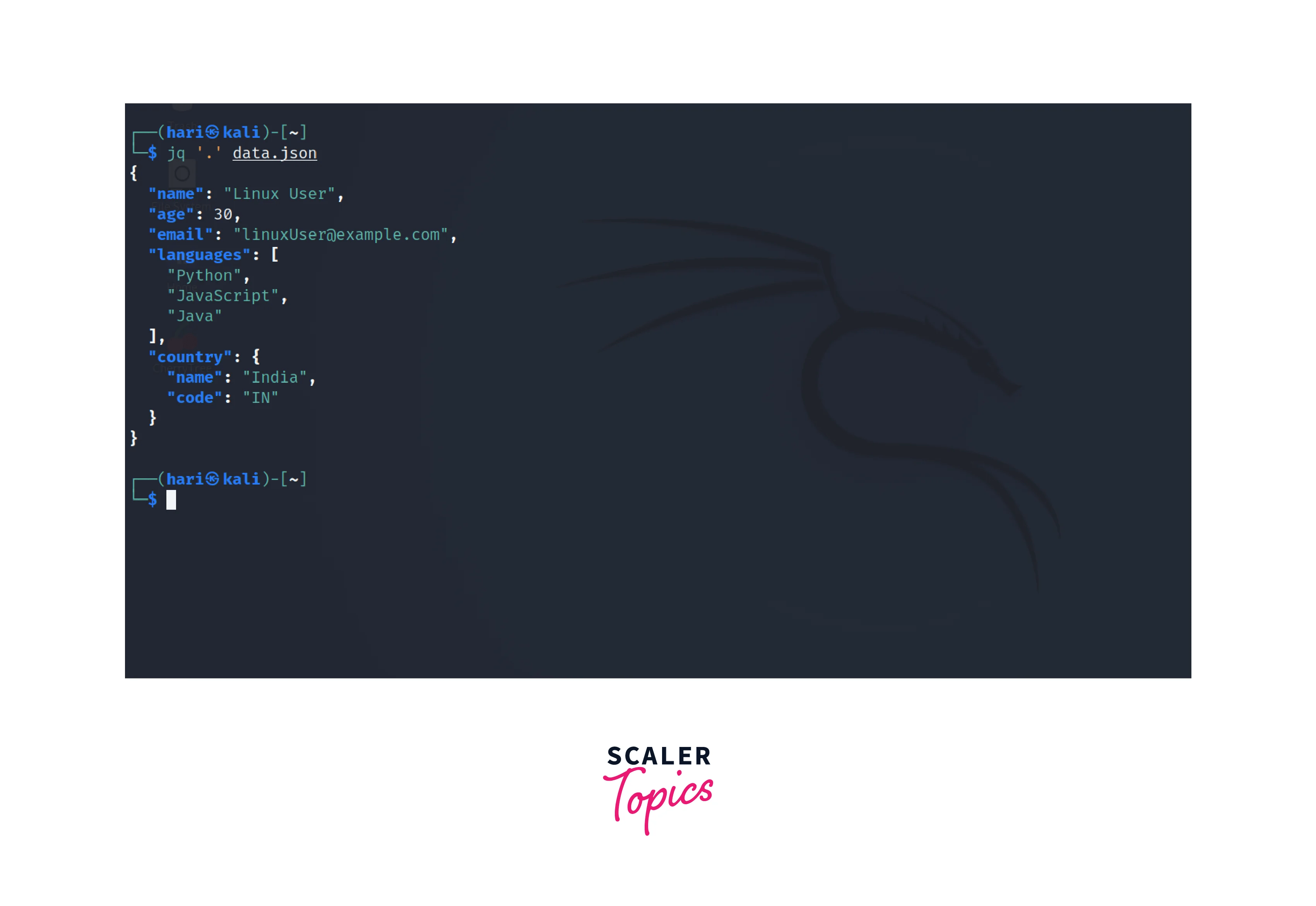 How to Install the JQ Command in Linux? Scaler Topics