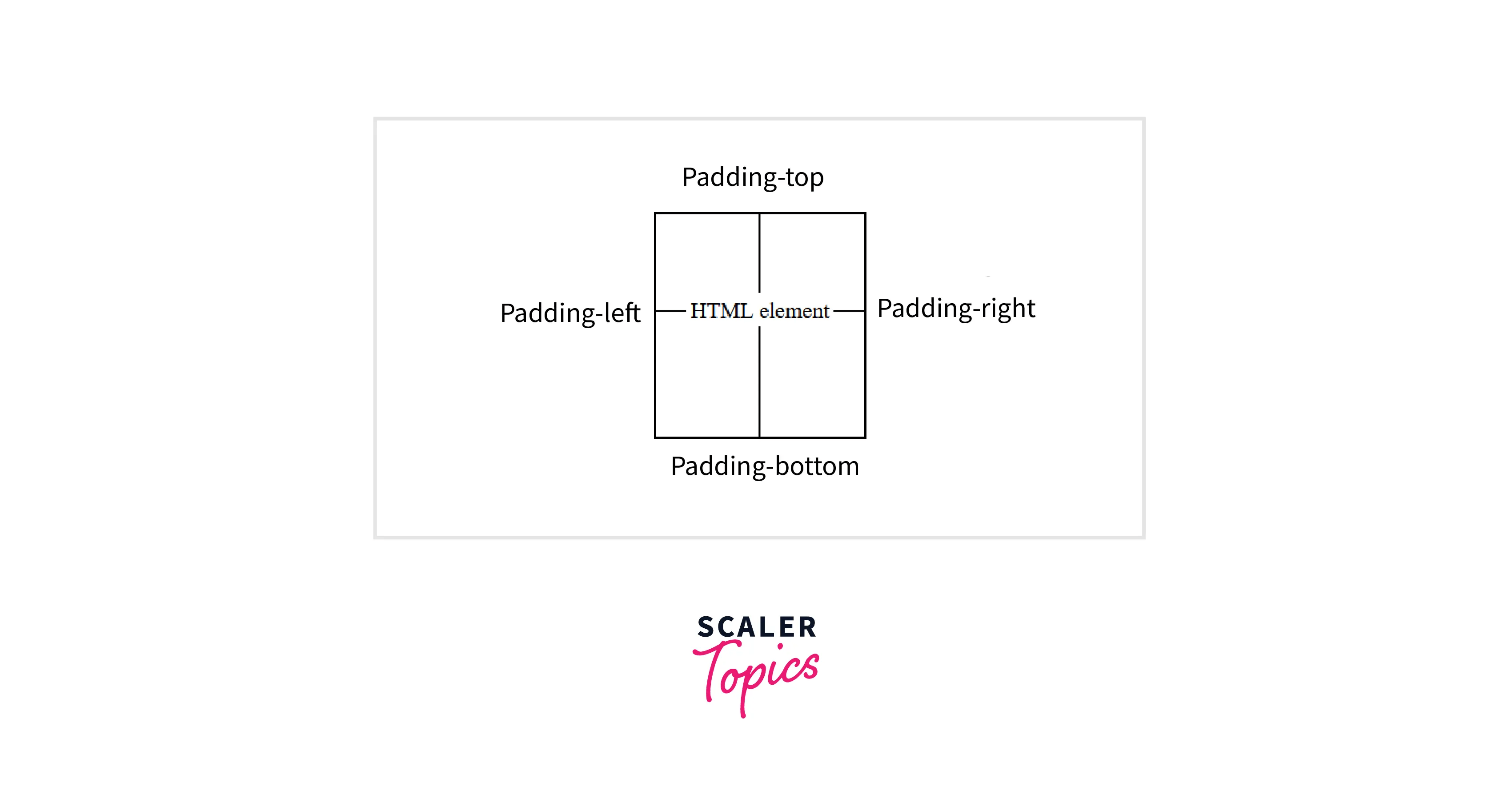 What are Margin and Padding in CSS? Scaler Topics