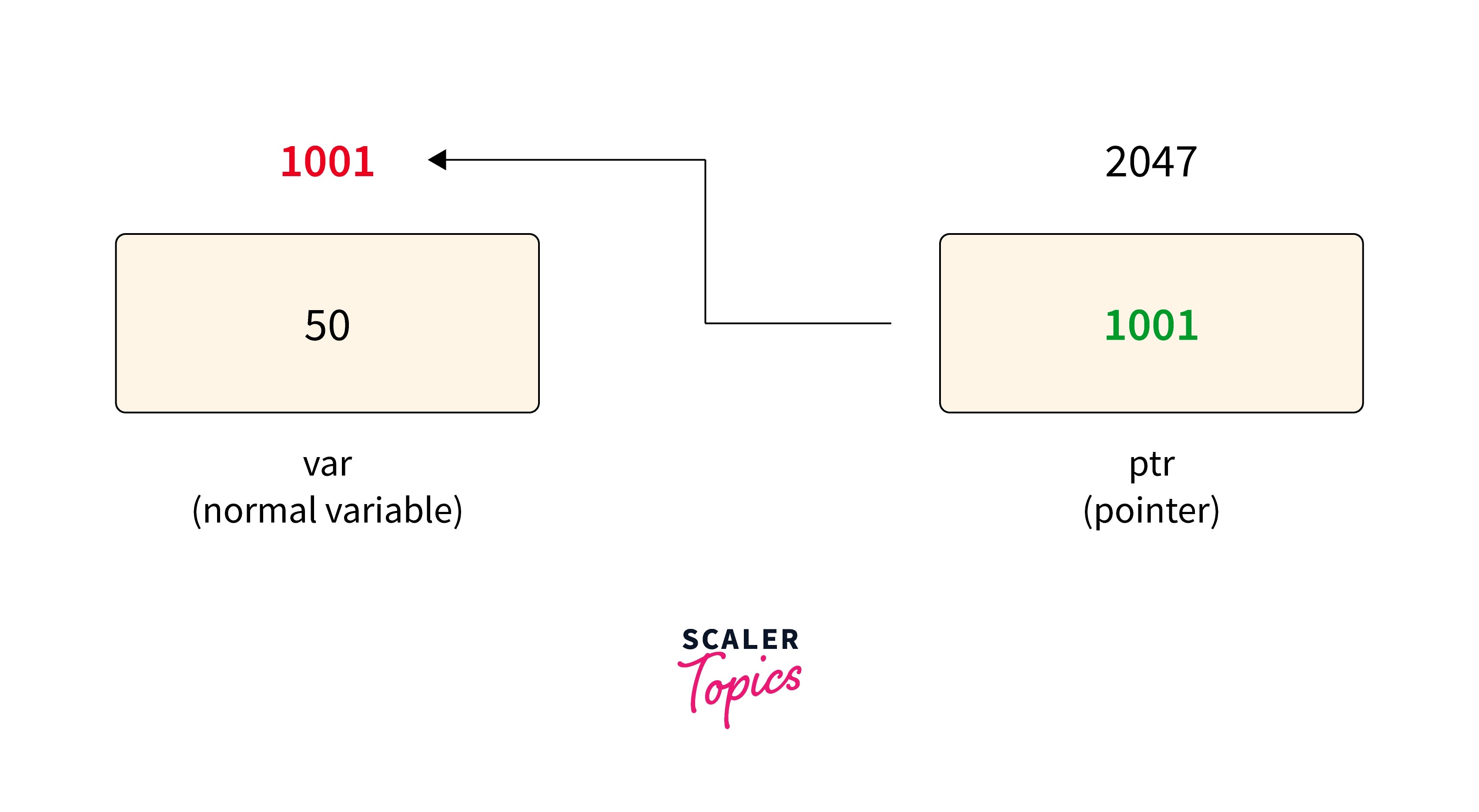 C Dereference pointer Scaler Topics