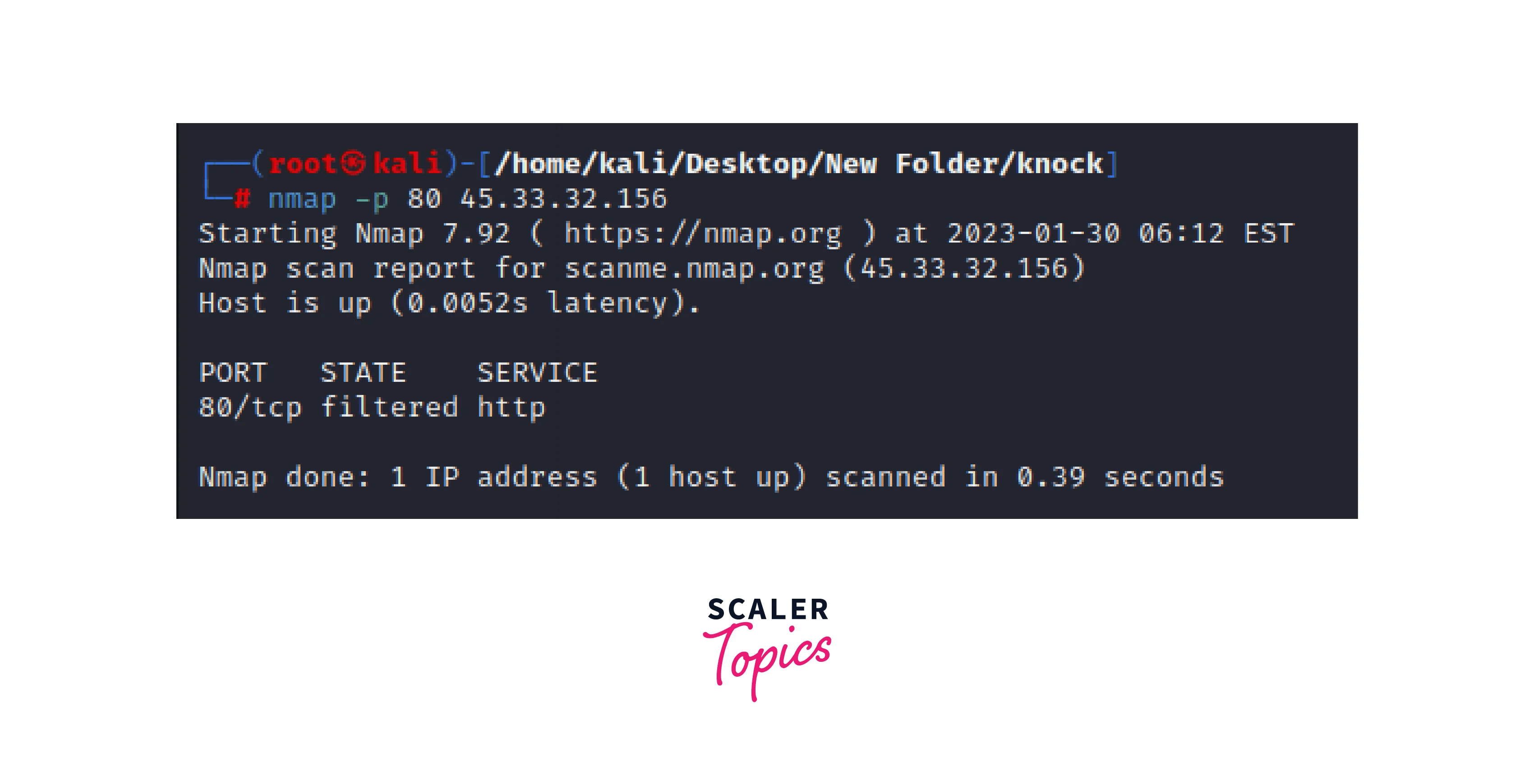 Enumerating HTTP and HTTPS with Nmap Scaler Topics