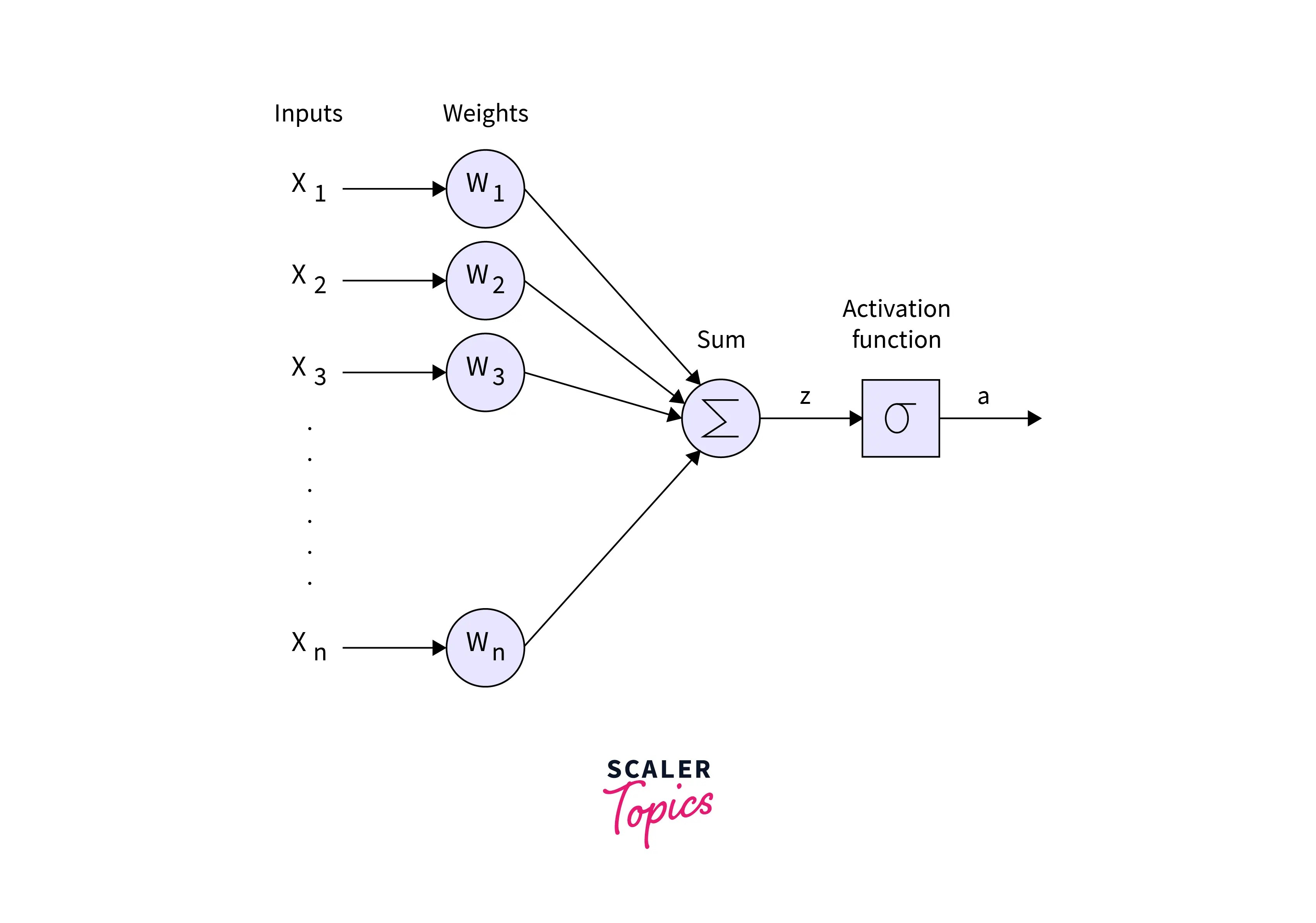 PyTorch Linear and PyTorch Embedding Layers Scaler Topics