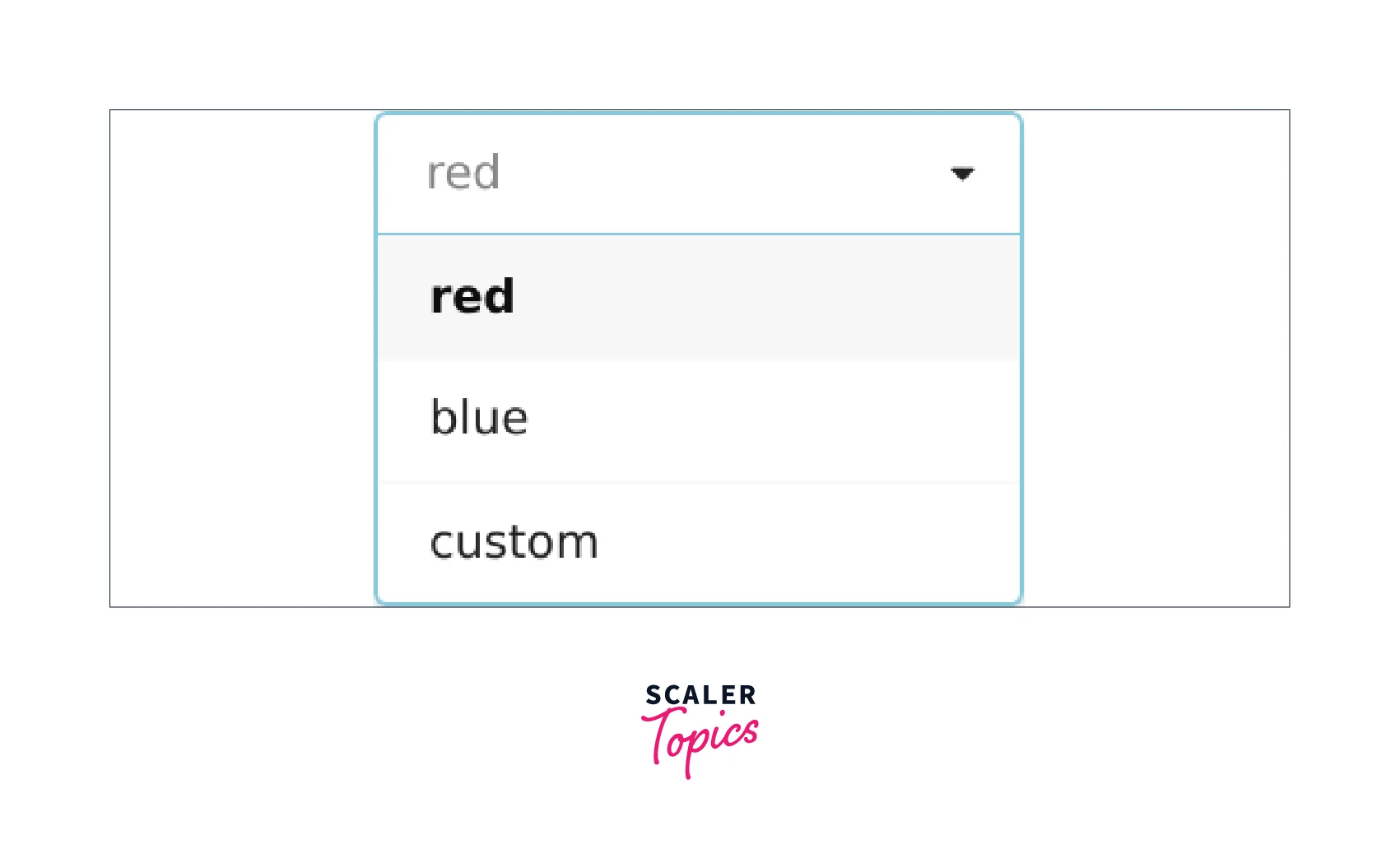 ReactDropdown Scaler Topics