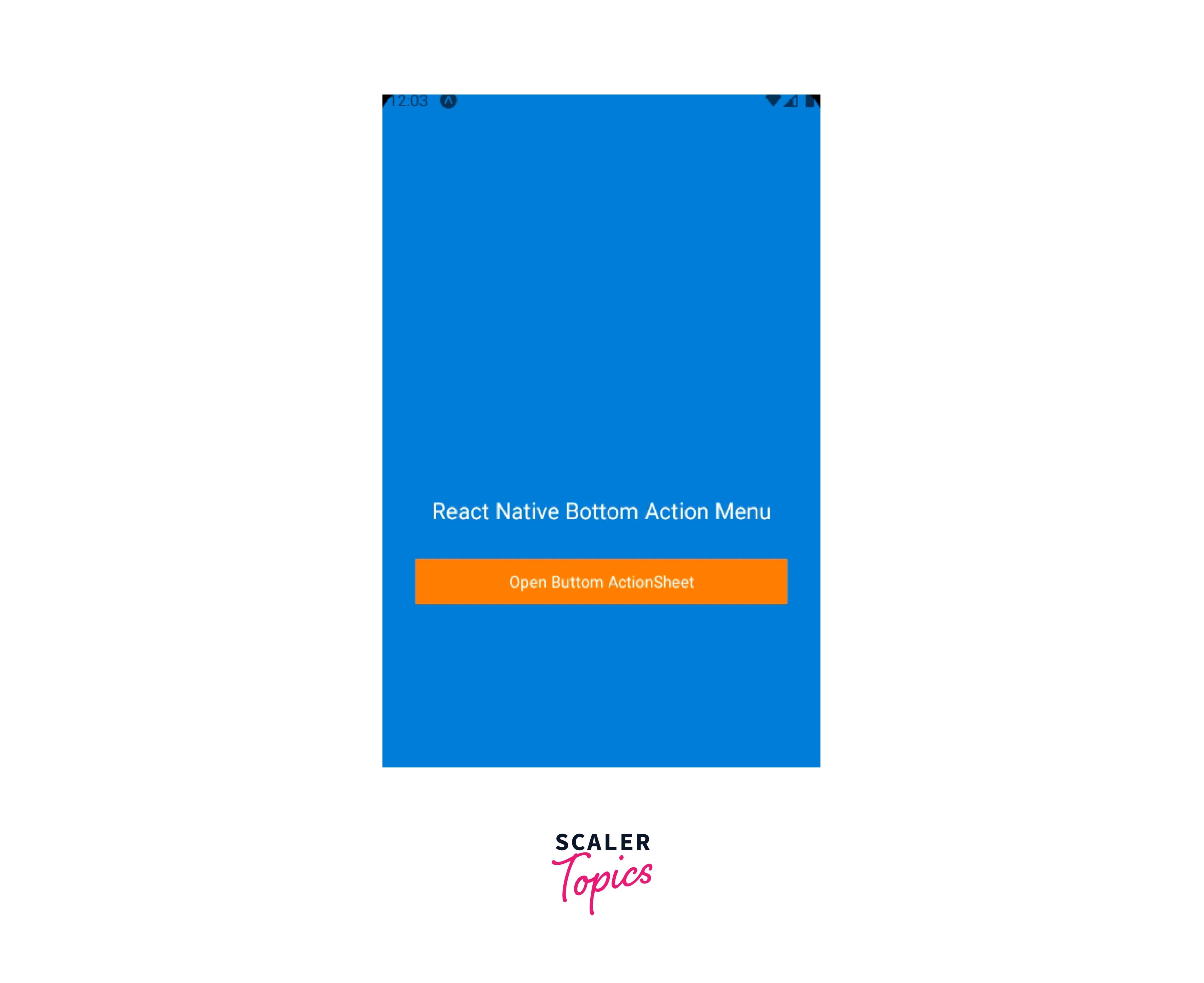 React Native Action Sheet Scaler Topics