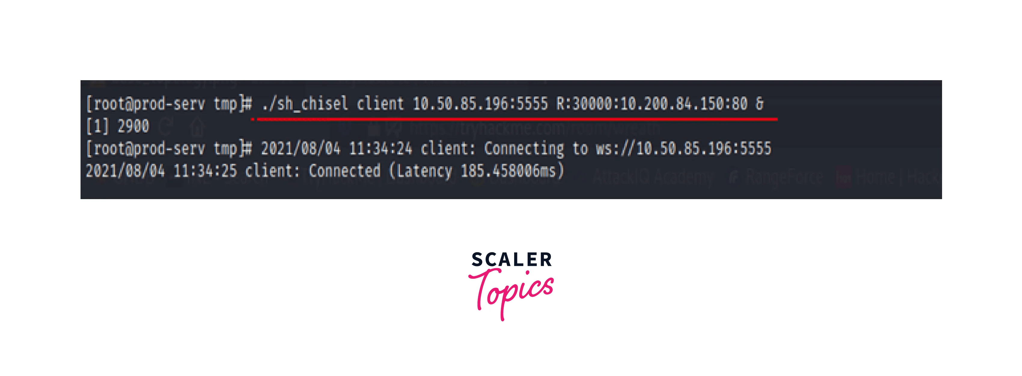 What is Pivoting in Cybersecurity and How is it Done Scaler Topics